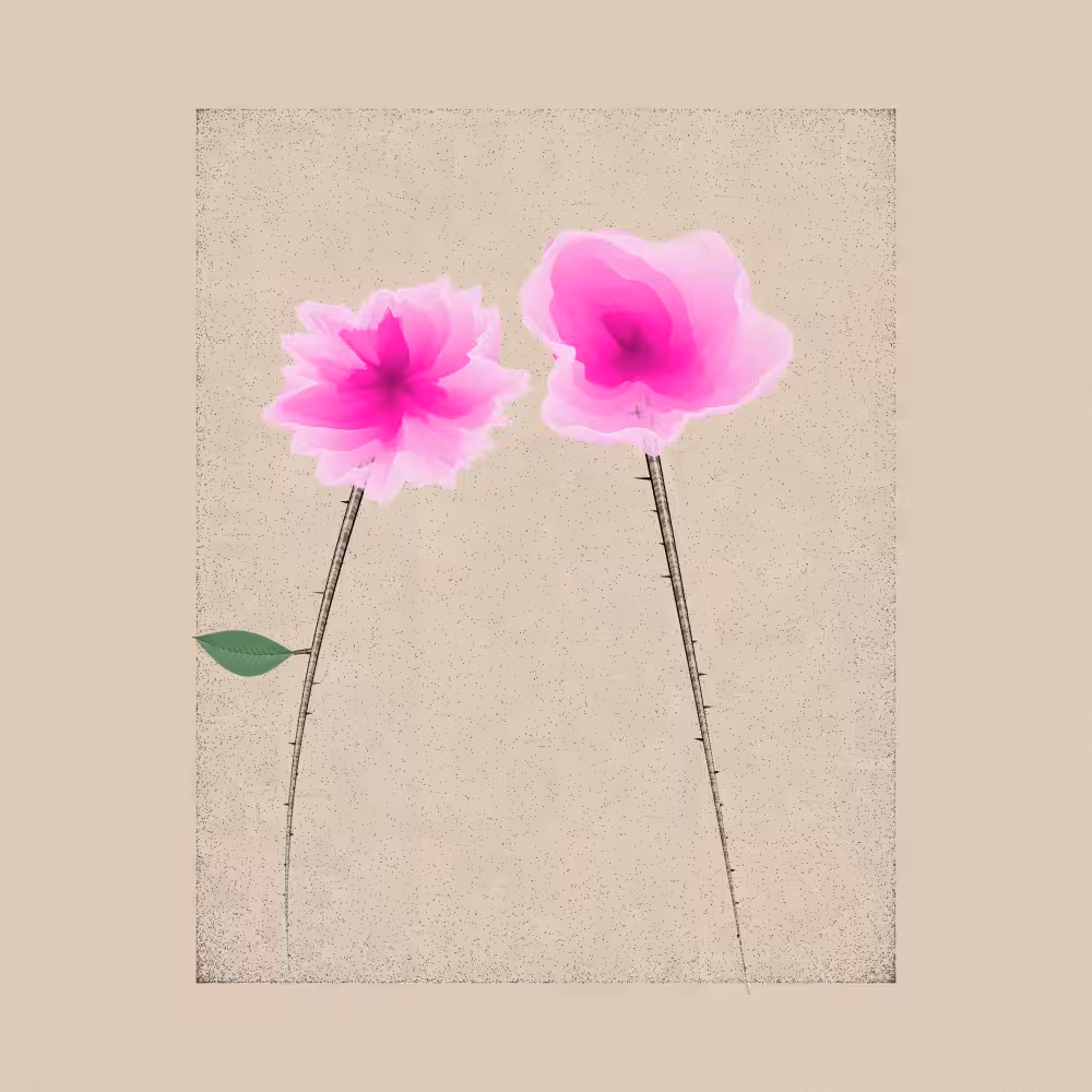 Magnolia #10
