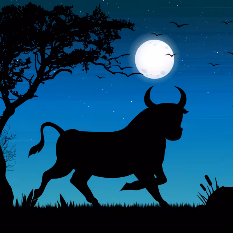 We Care...Bull #4