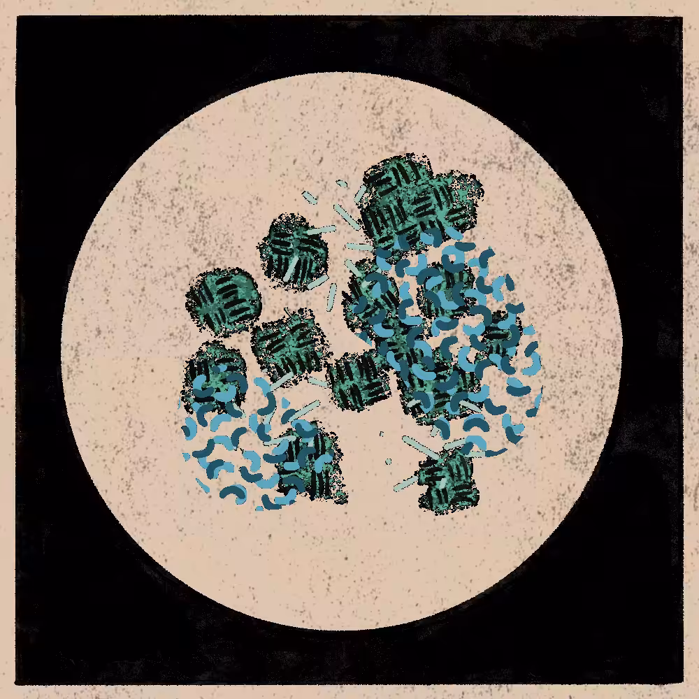 Microbes #6
