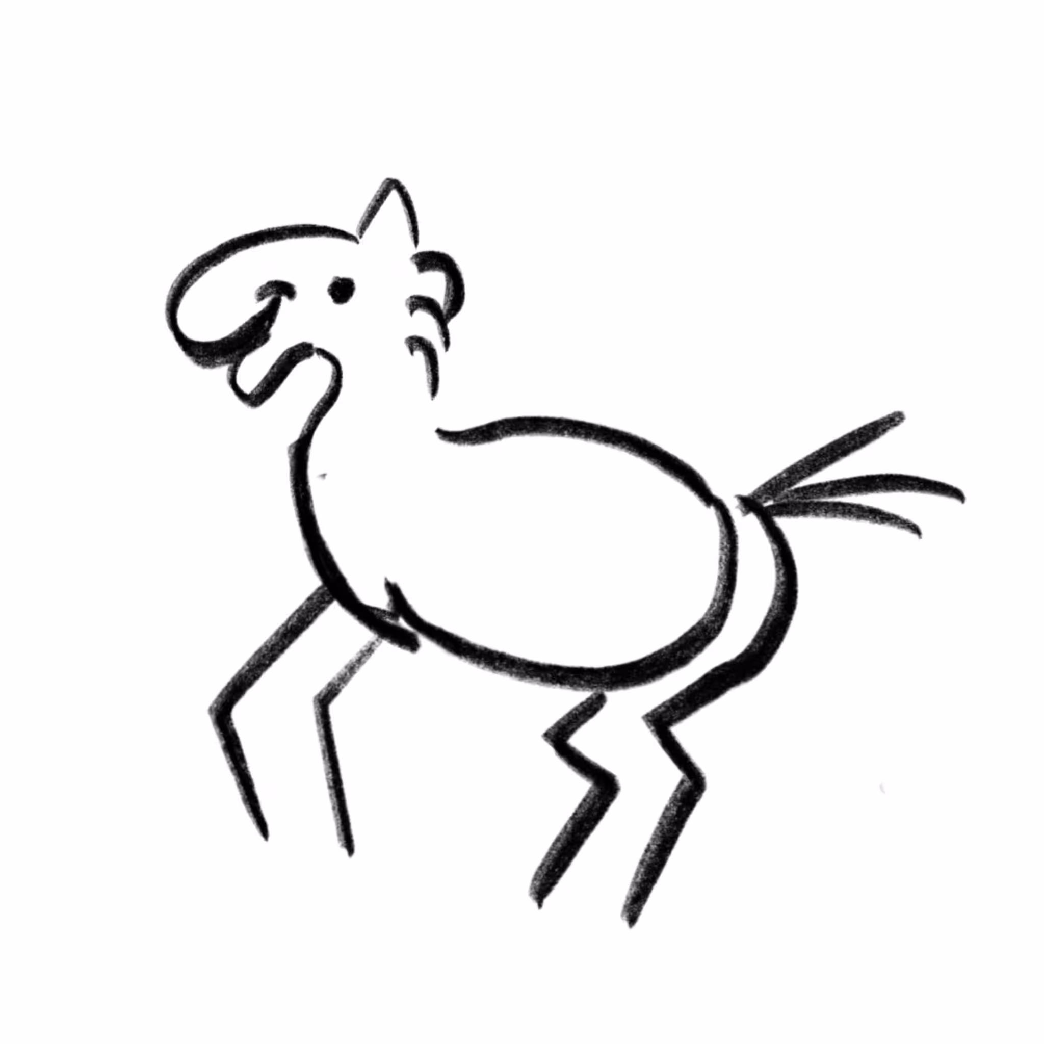 horse17