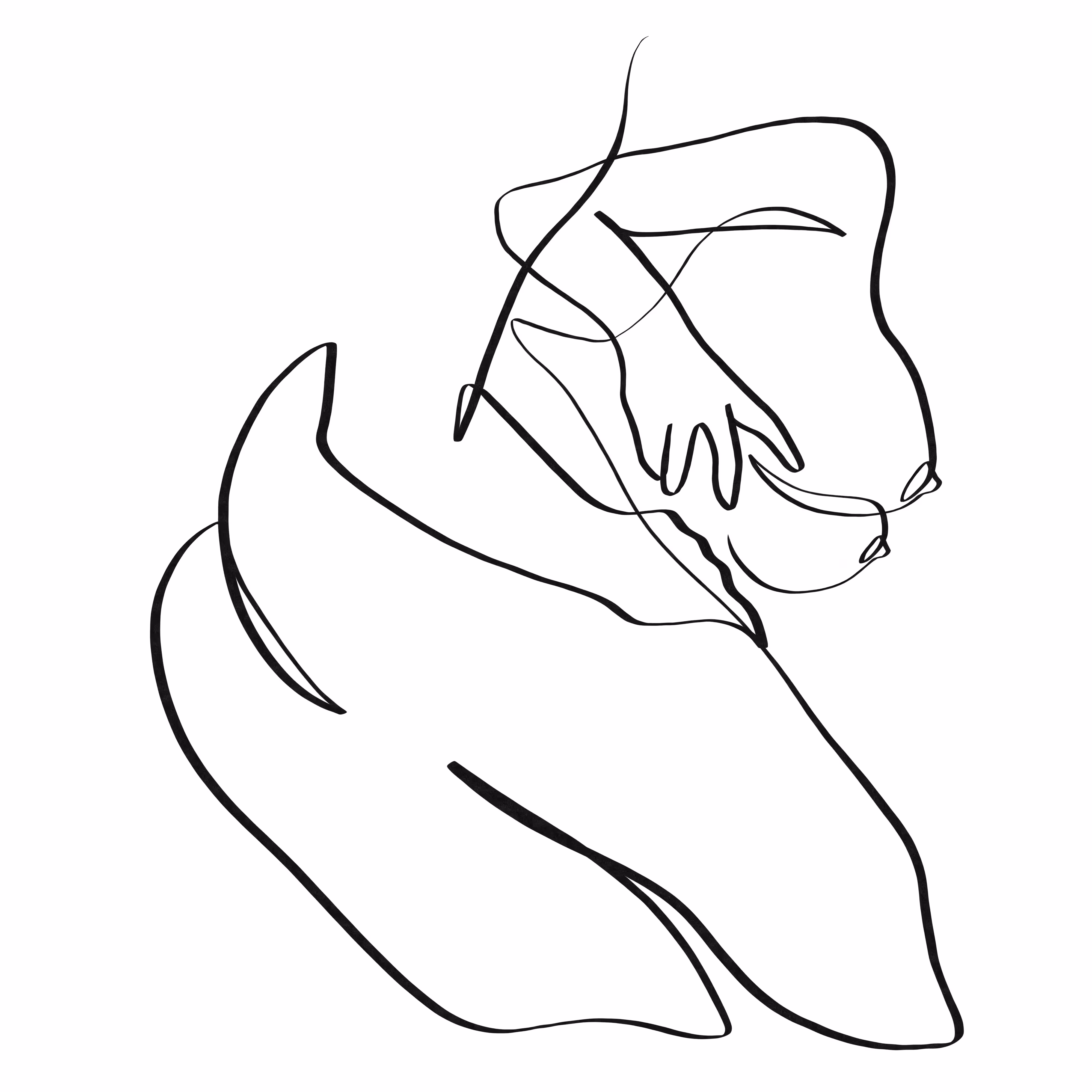 Secret entrance sex position one line art #28