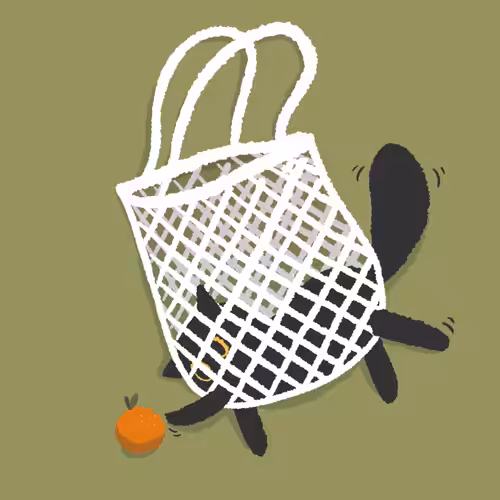 O-Liang & Friends: #16 a net bag