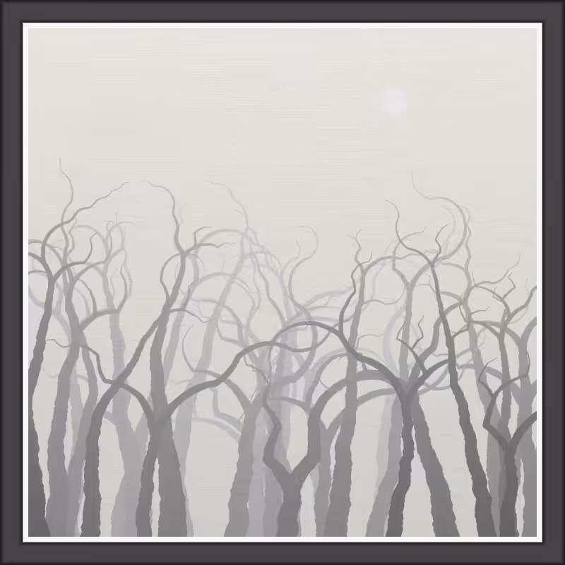 The Foggy Trees #63