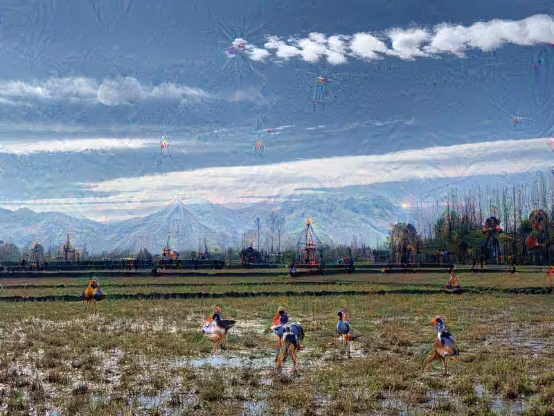 psychedelic Harvest