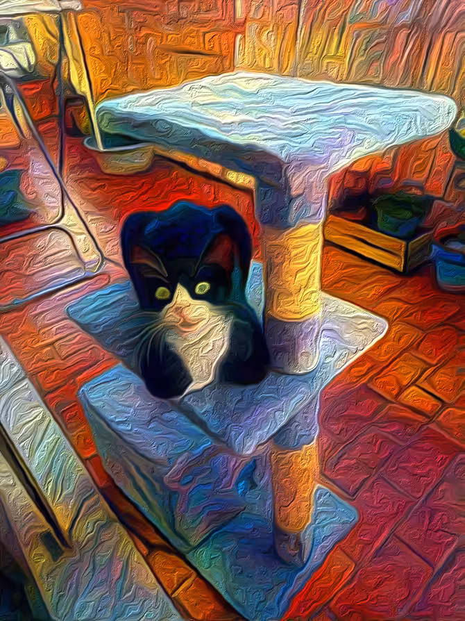 Liquid Cat Hanging Out