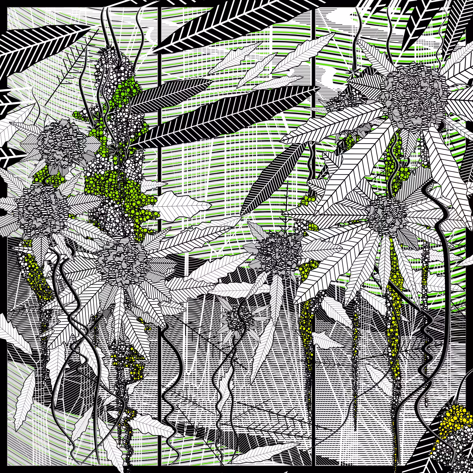 Dreamcatcher Forest