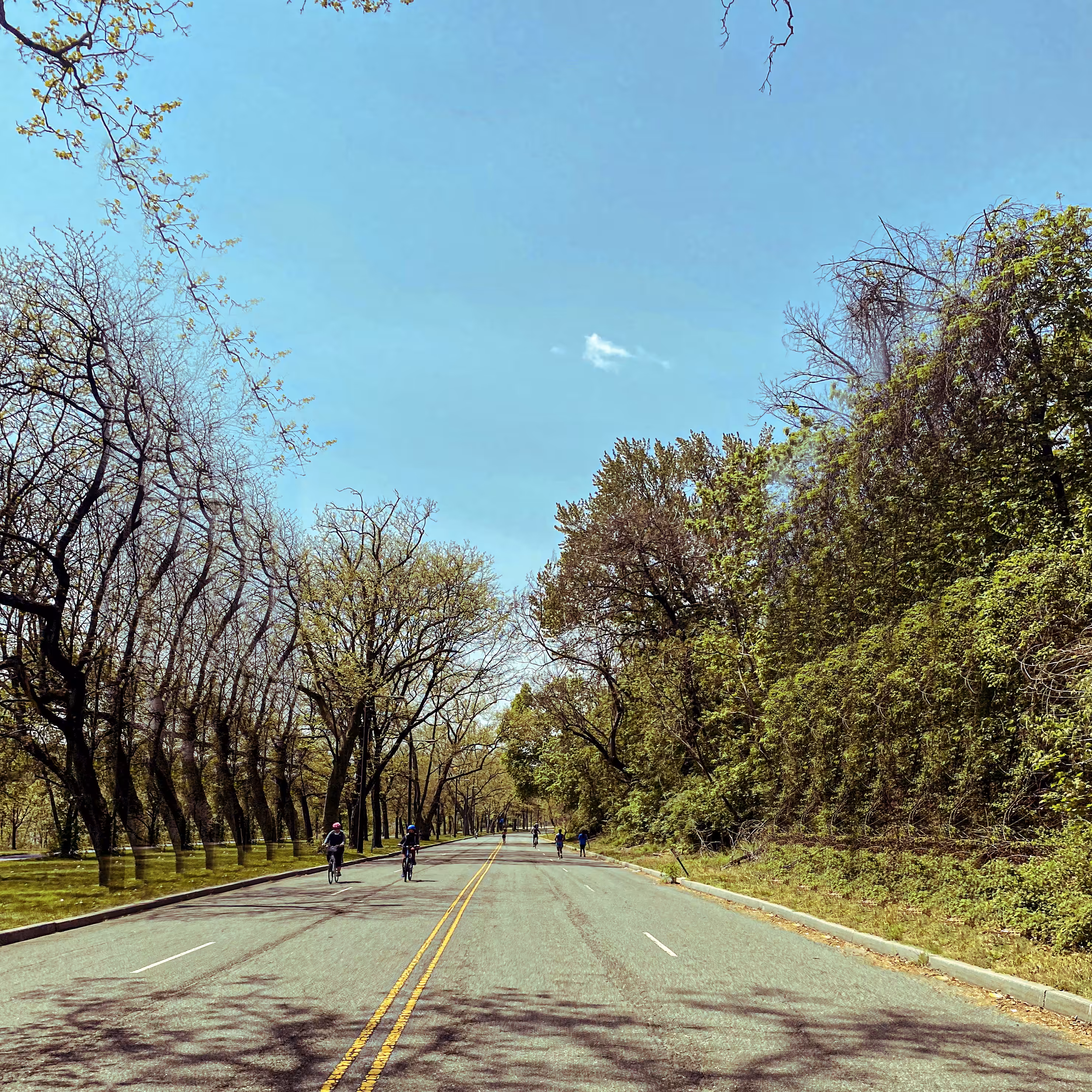 MLK Drive (Pandemic Car Ban) Philadelphia, PA