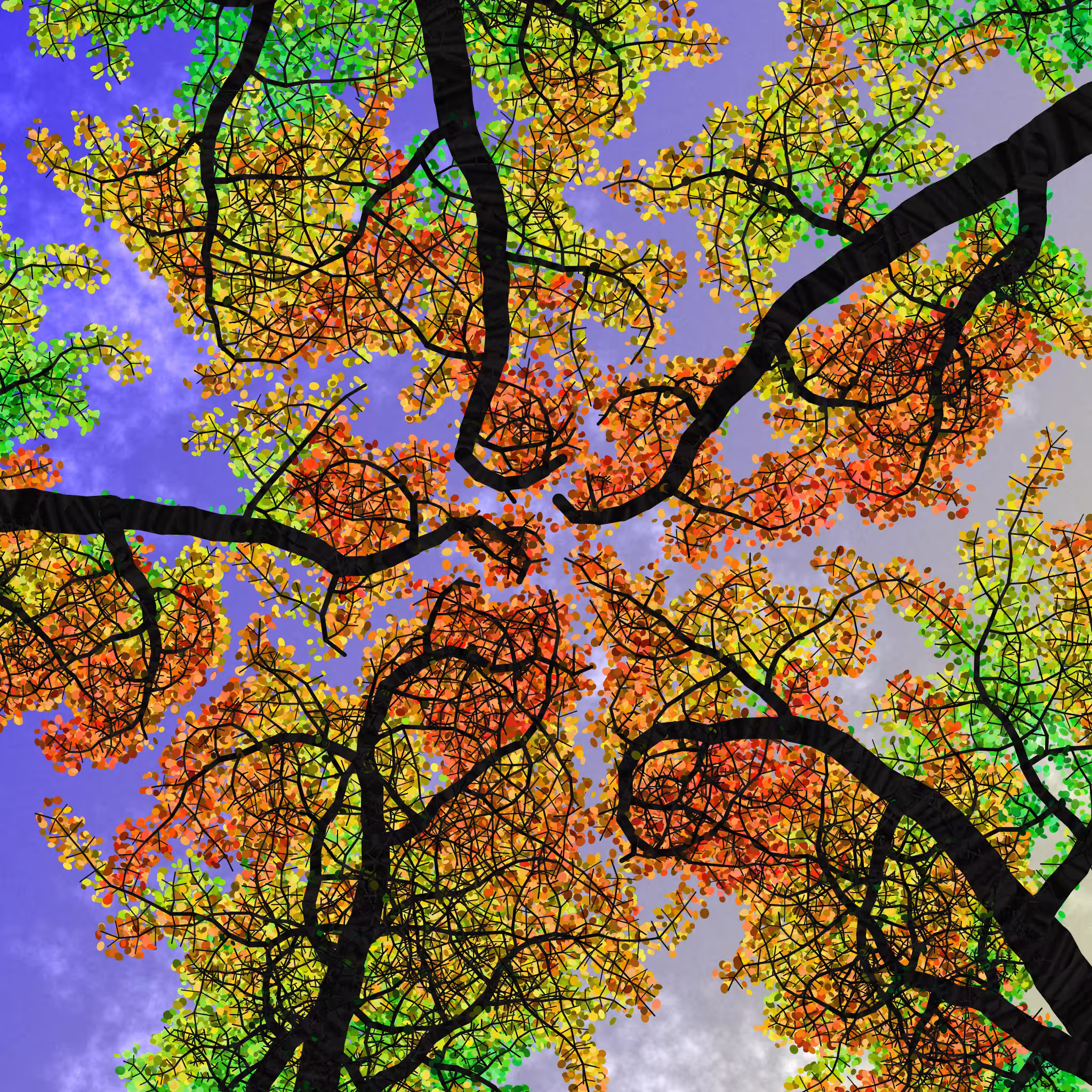 Tree Skyness #121