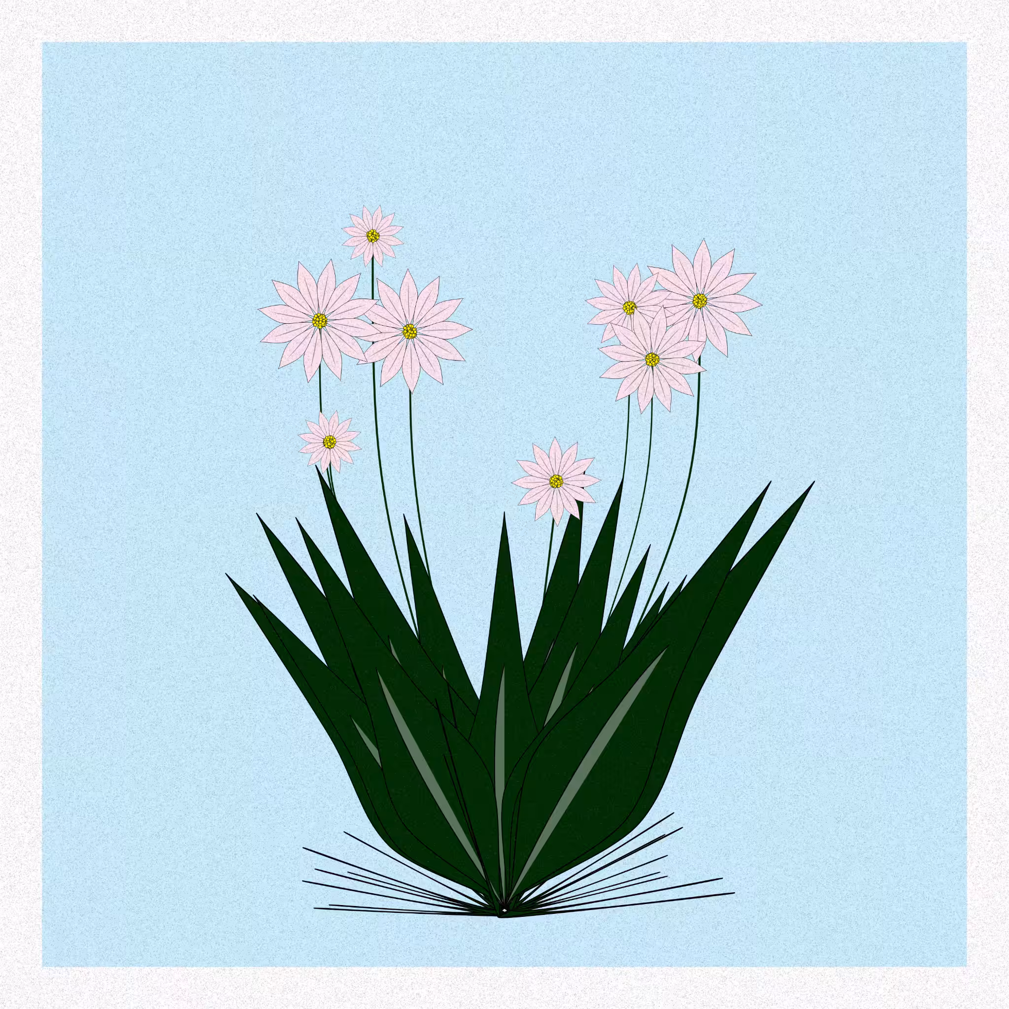 Flowers #24