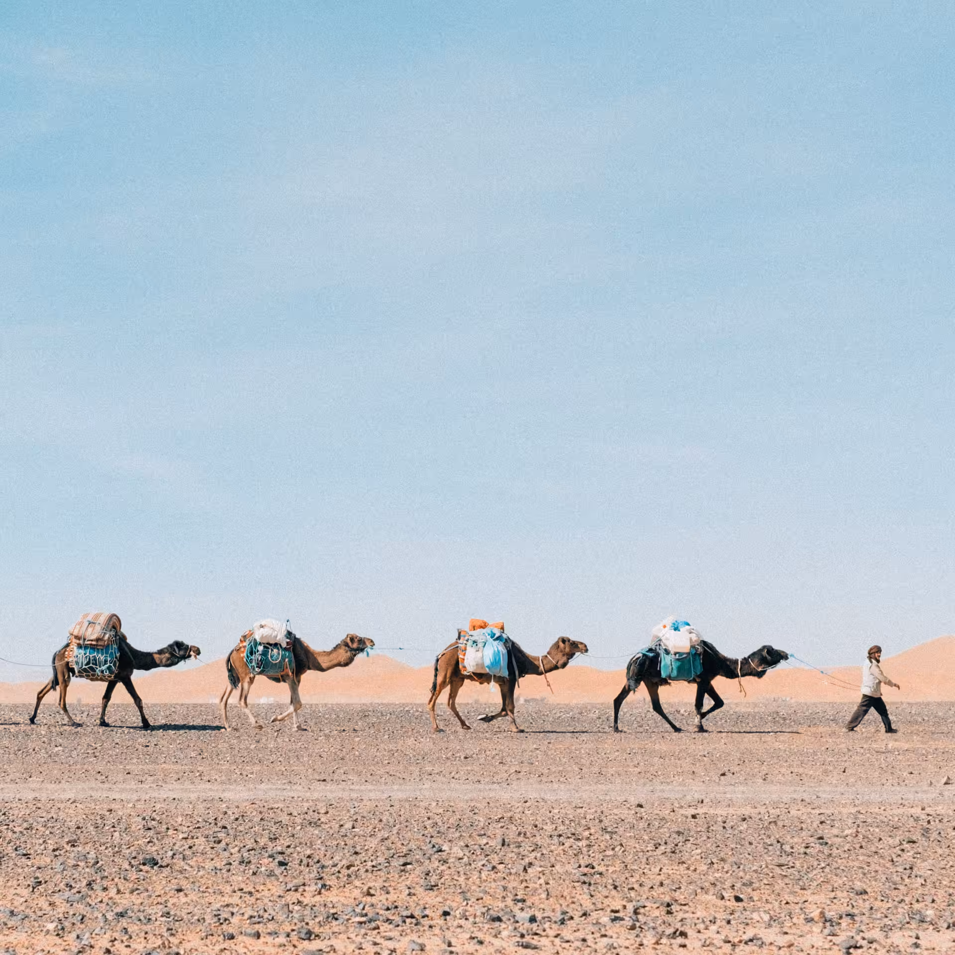 Nomad