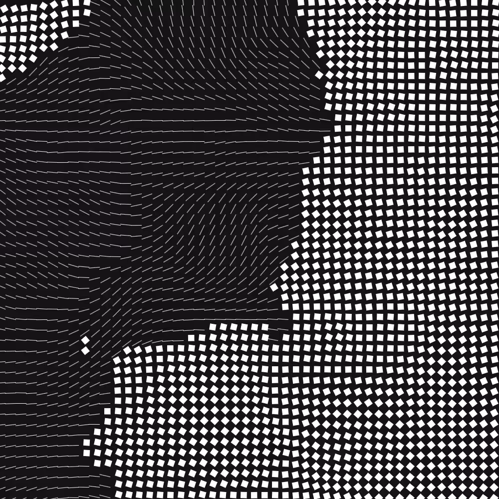 Geometric Fluidity #555