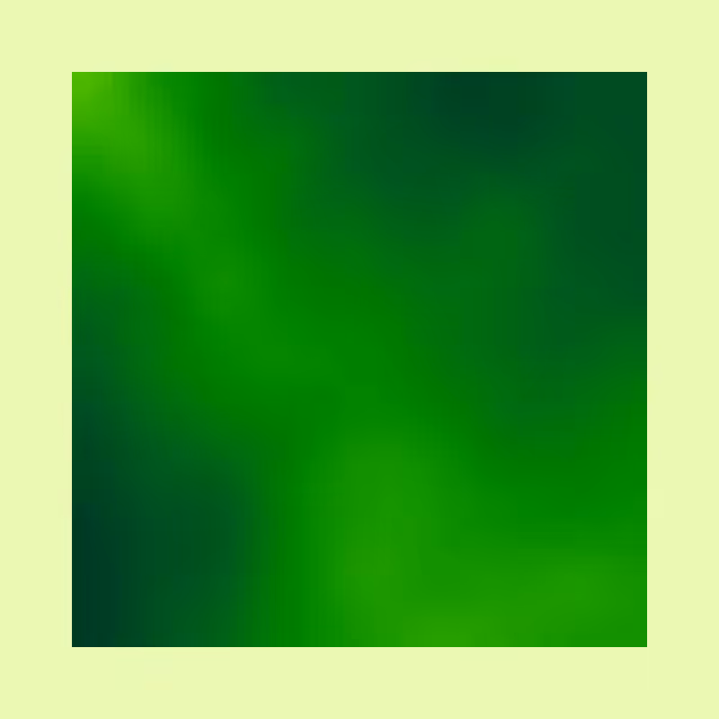 GRADIENT STUDY #55