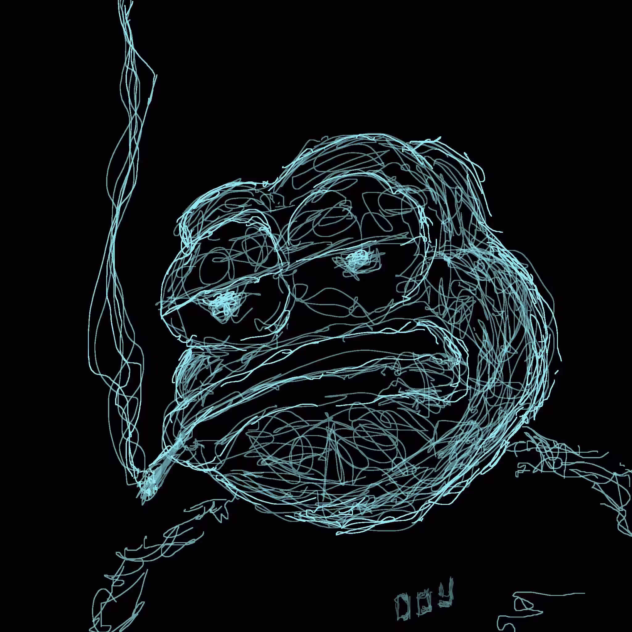 PEPE