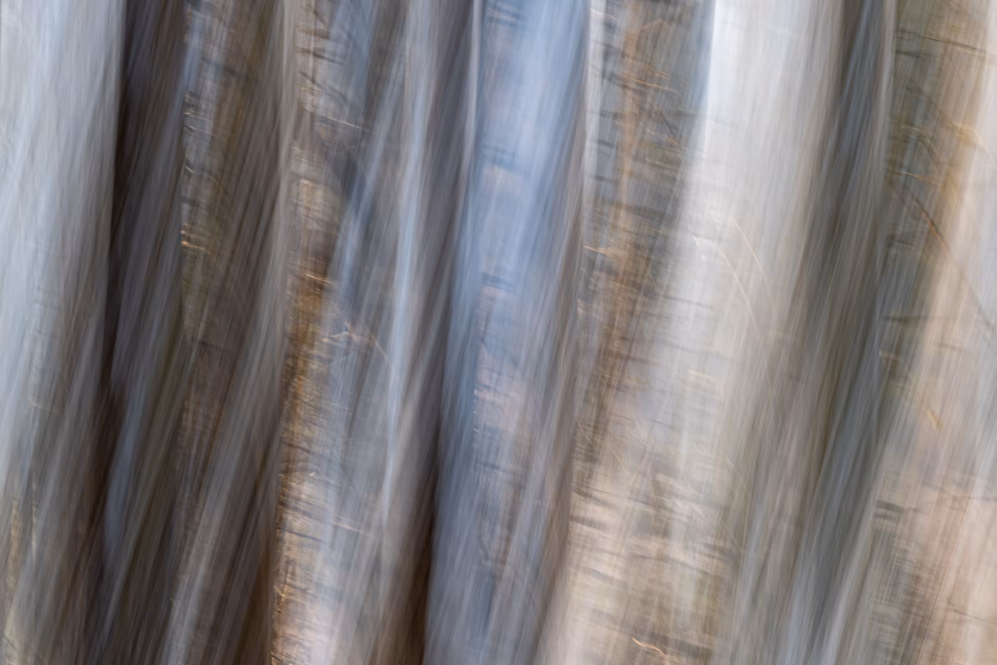 The Ghosts of Elowah #35
