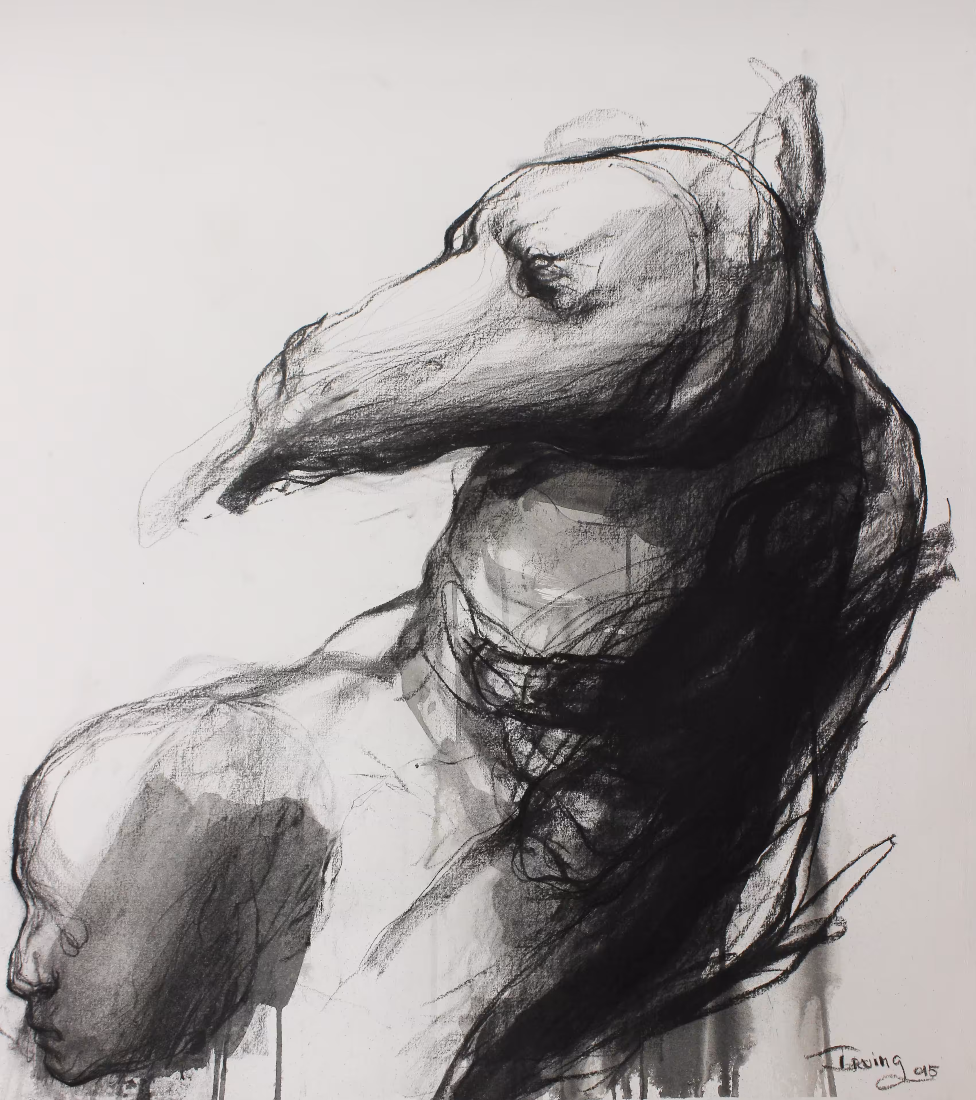 Endangered animals IV
