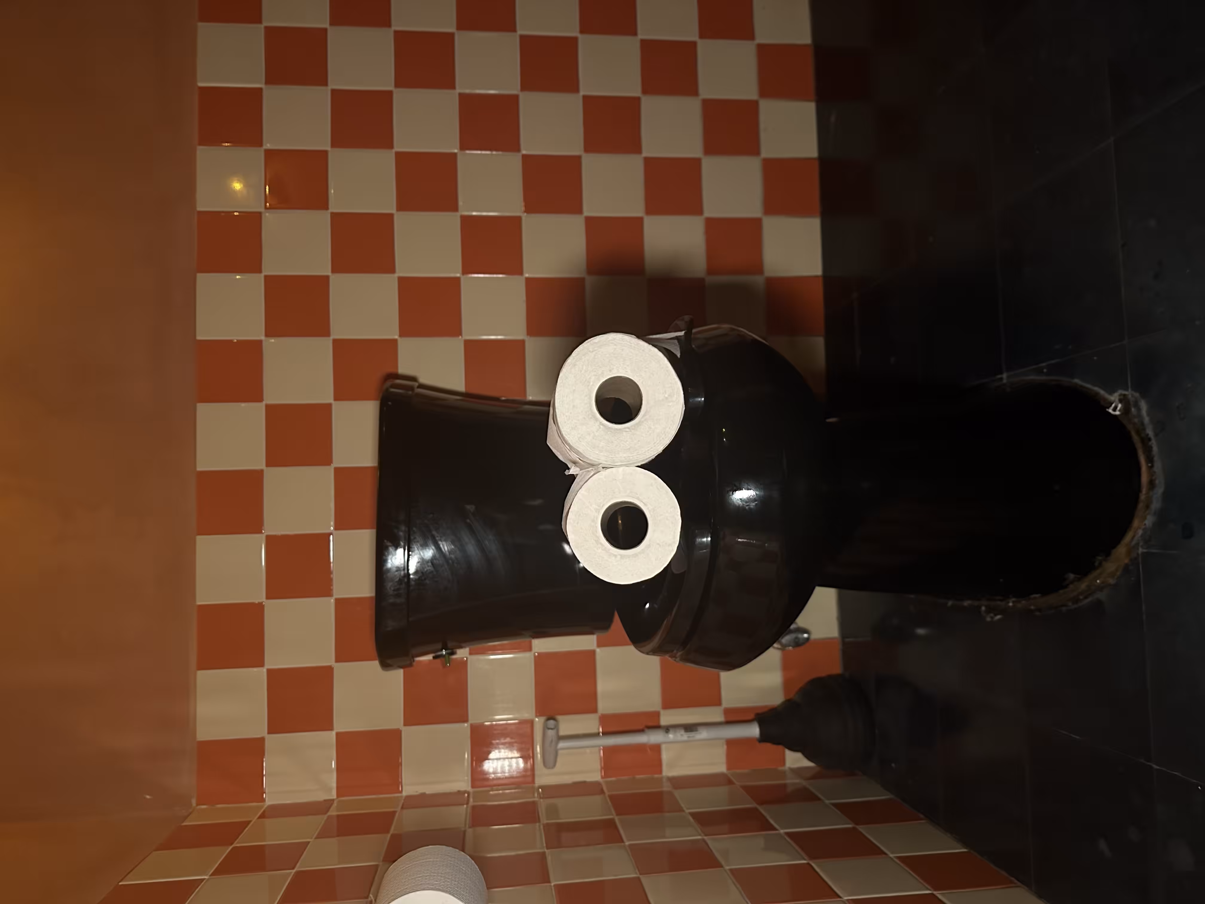 Pepe Toilets NYC #23