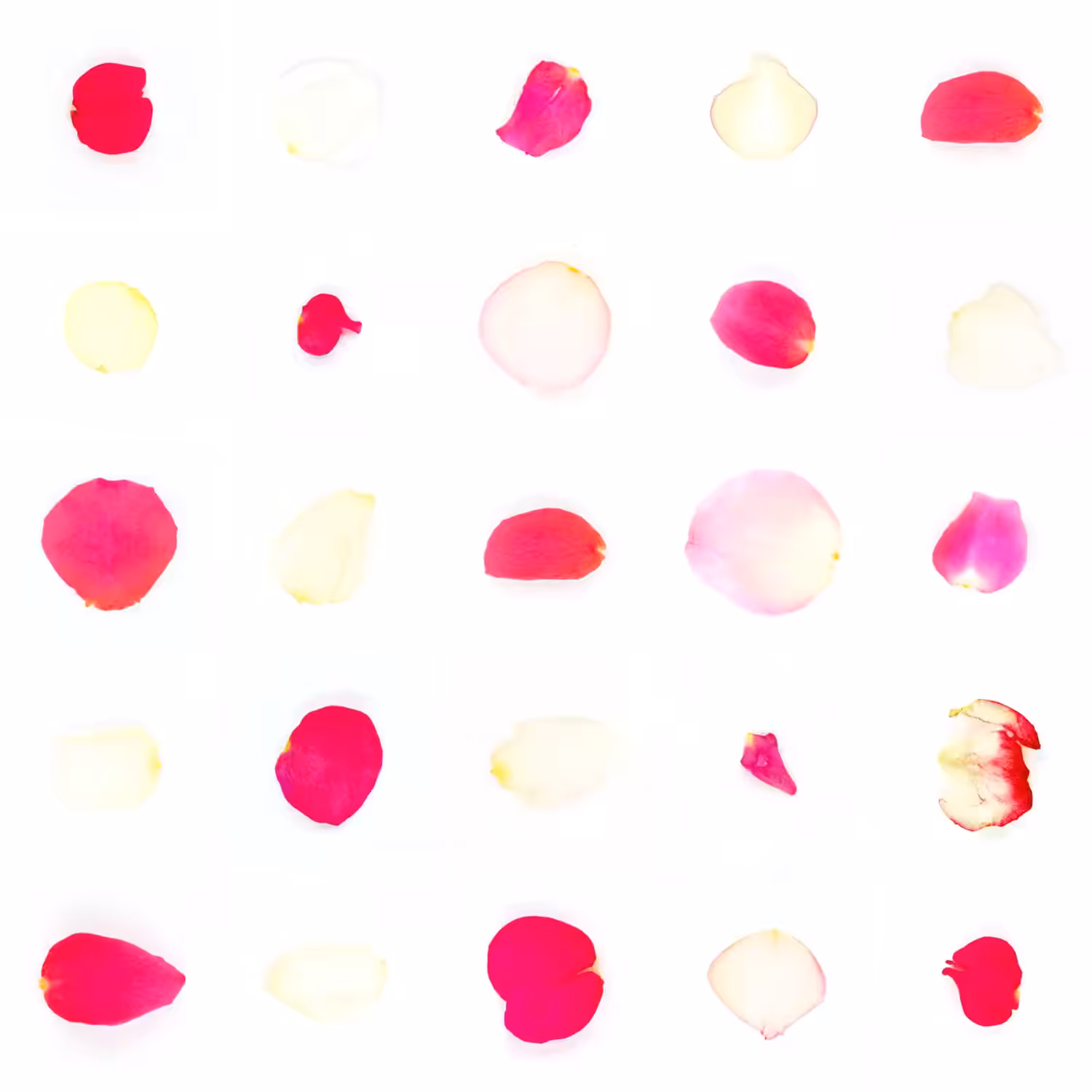 Infinite Petals 5x5#1157