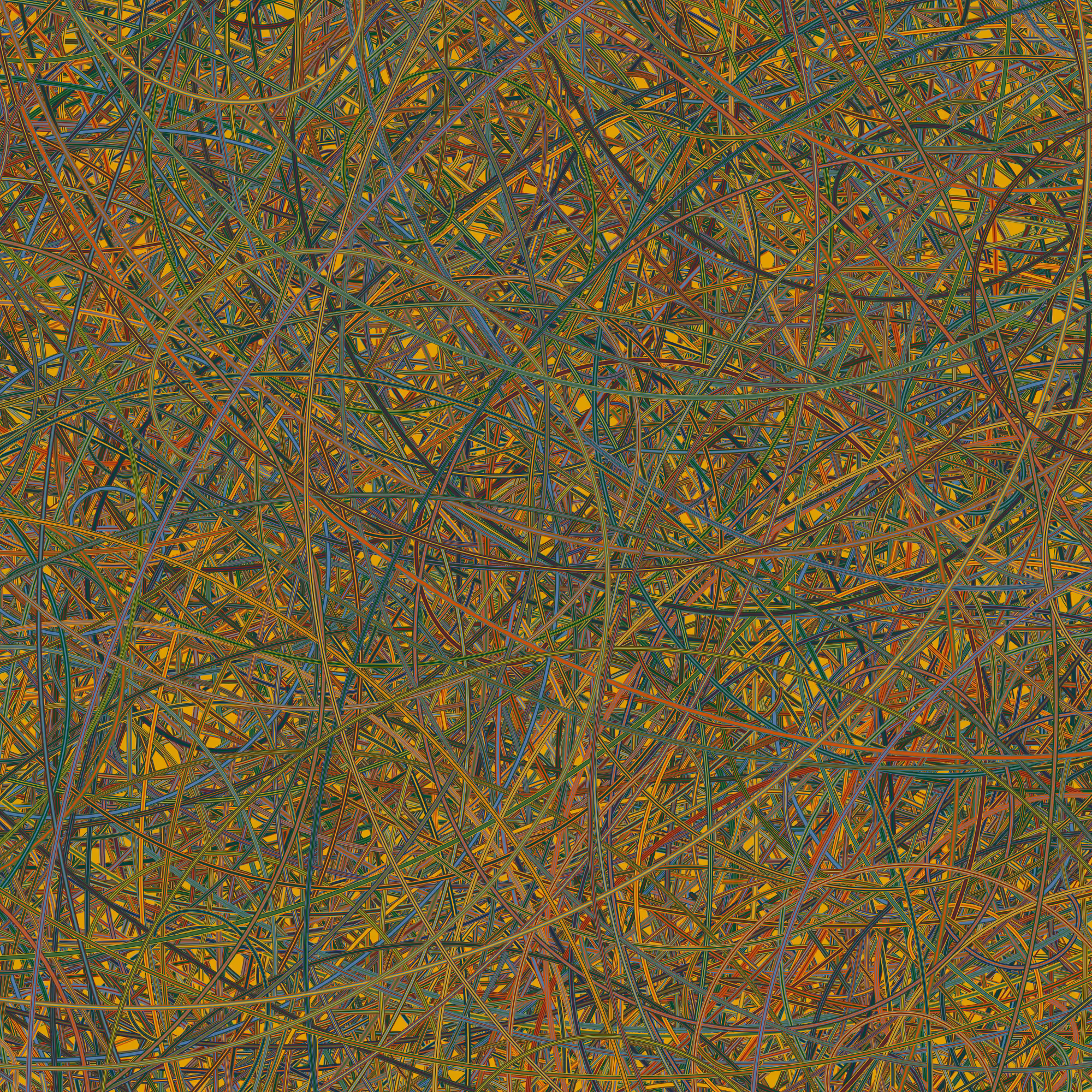 Untitled #3