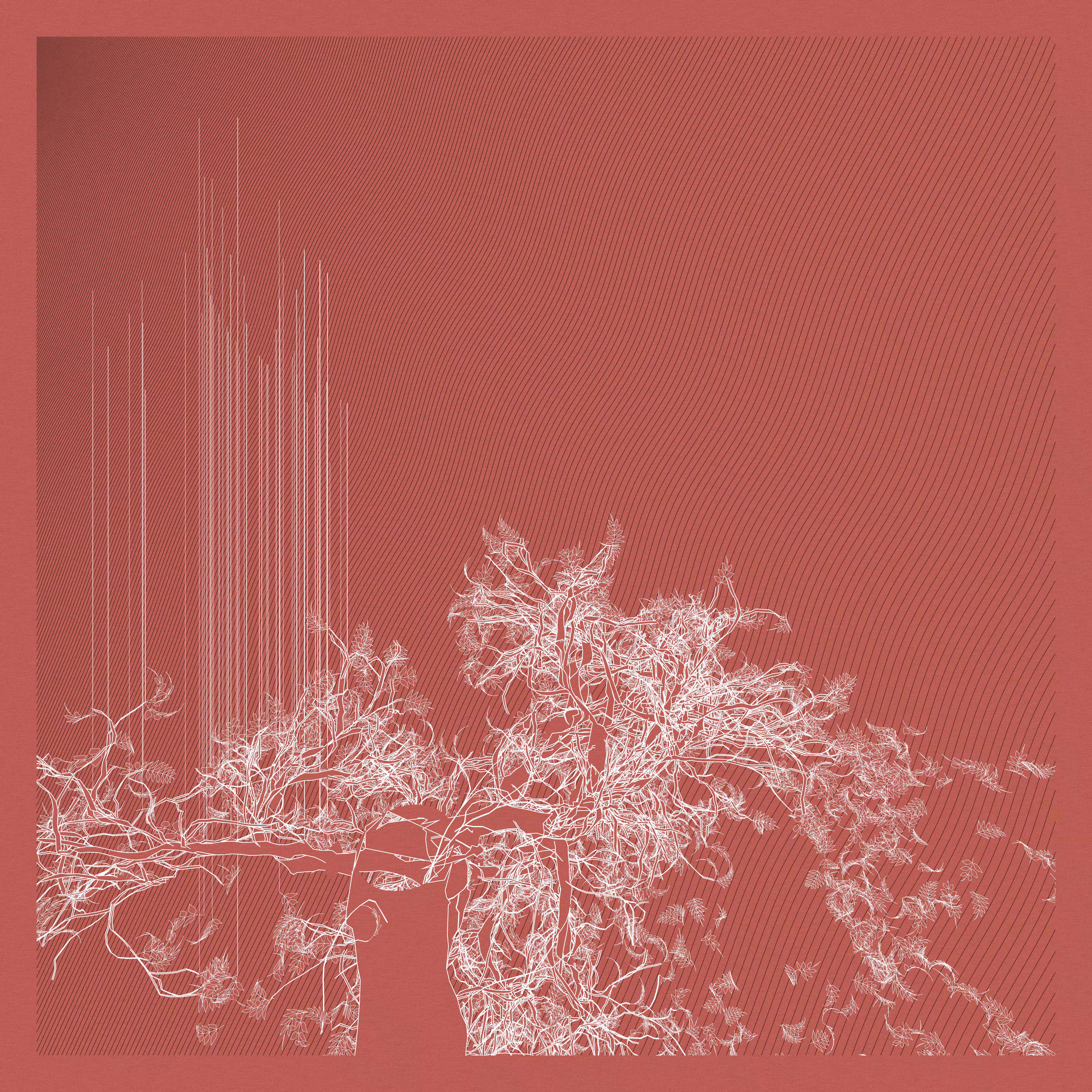 A Bugged Forest #988