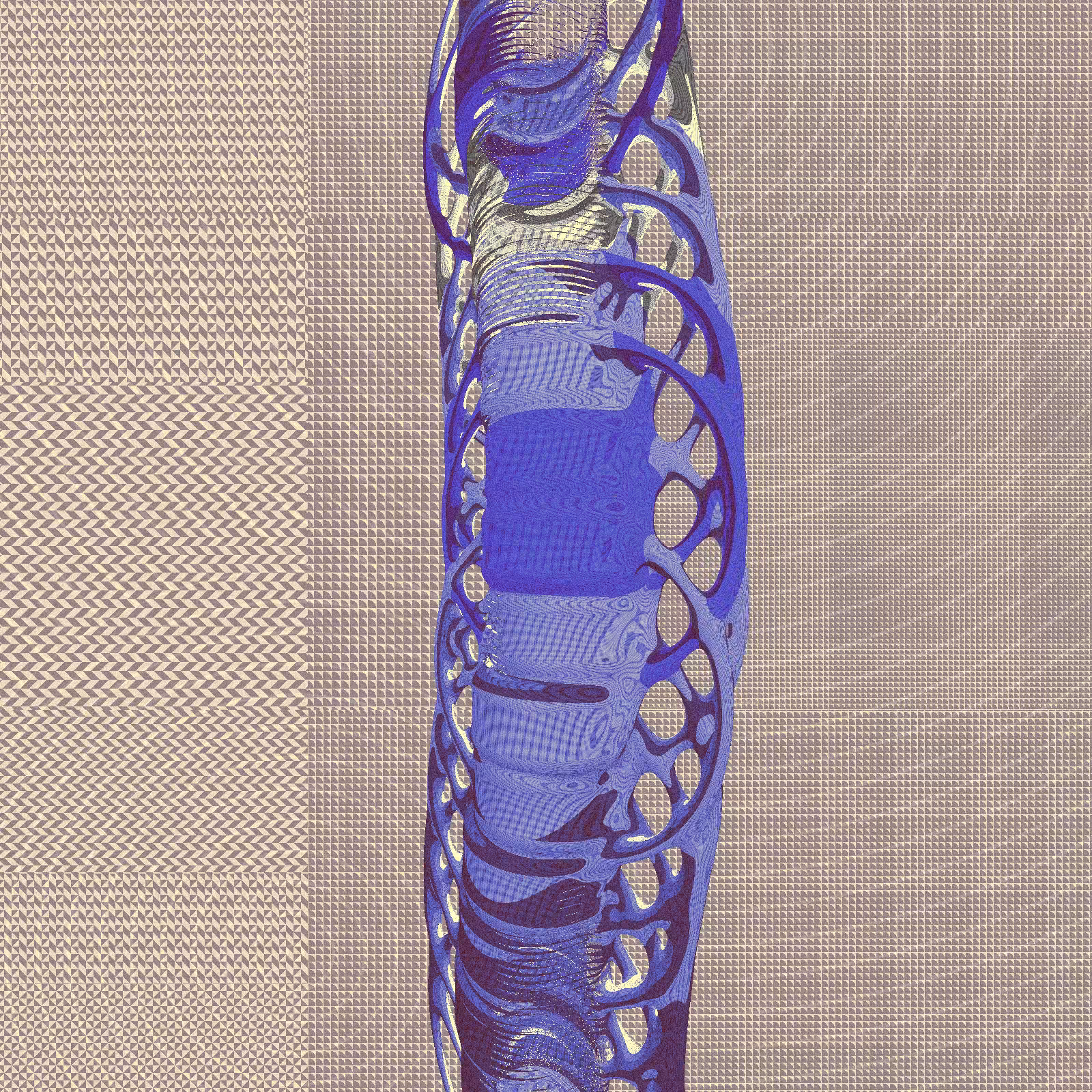 Long, Thin, Tubular Structure #171