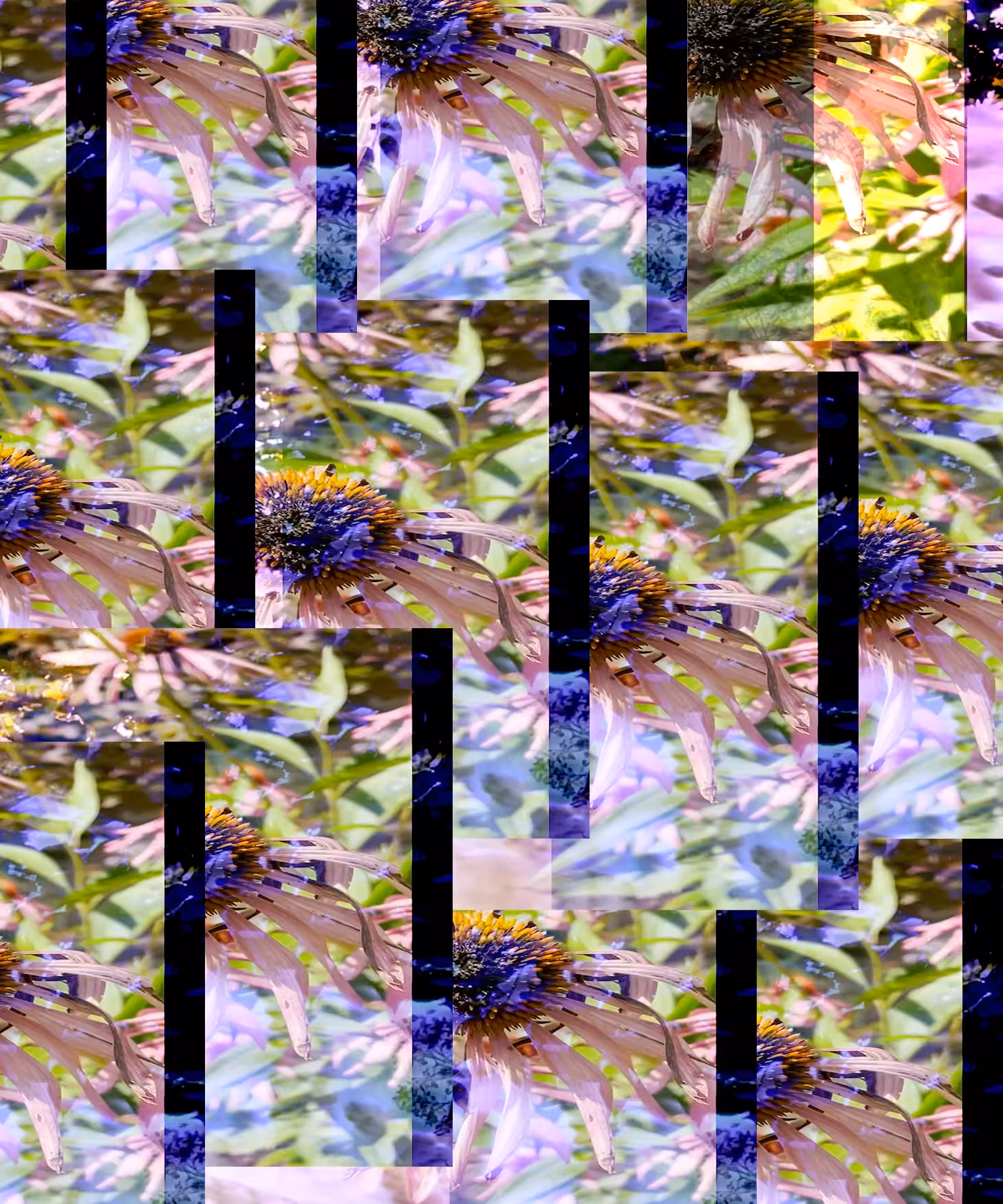 DVSLK.20