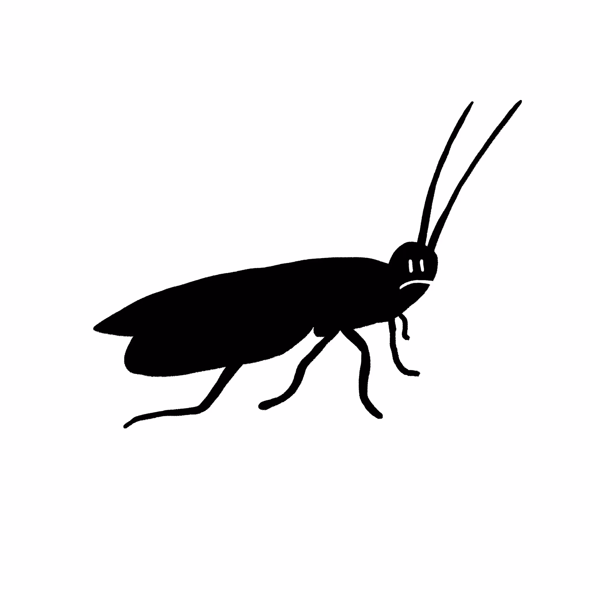 Pest