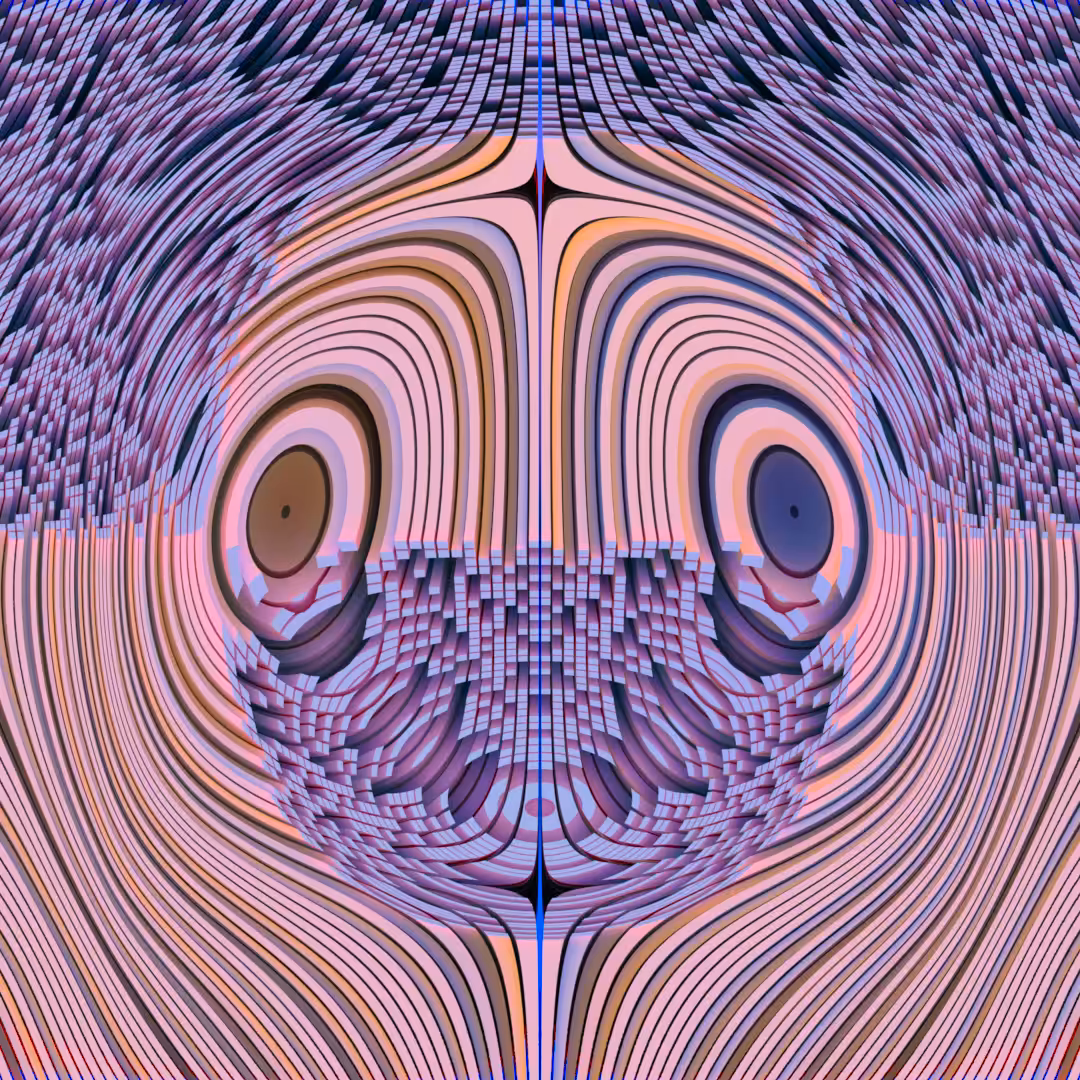 Illusions