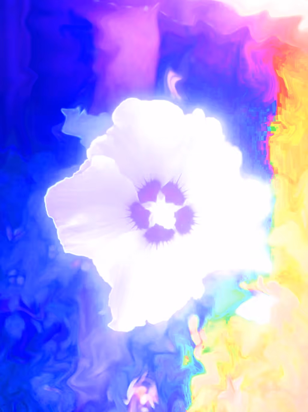 A Flower Sitting in the Middle of a Pulsating Color Storm