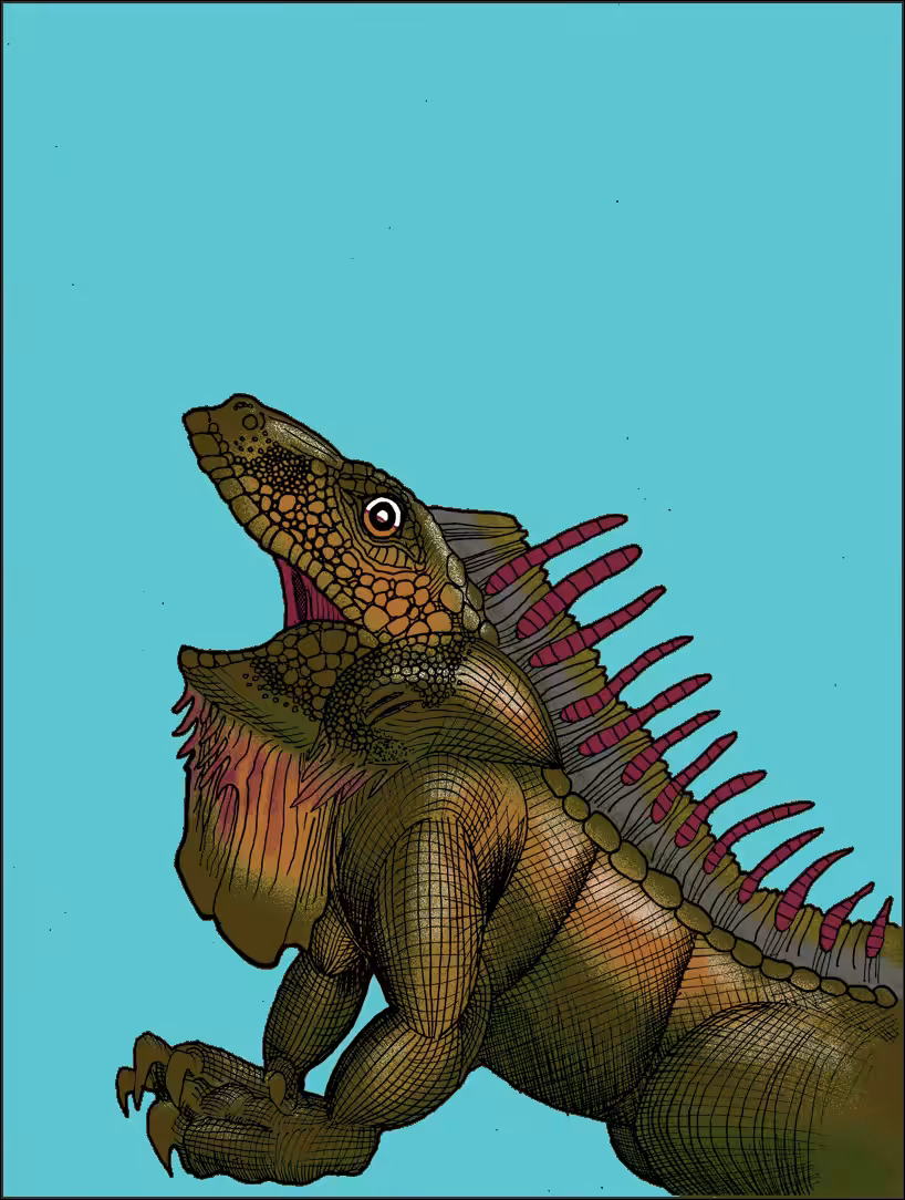 metadrago