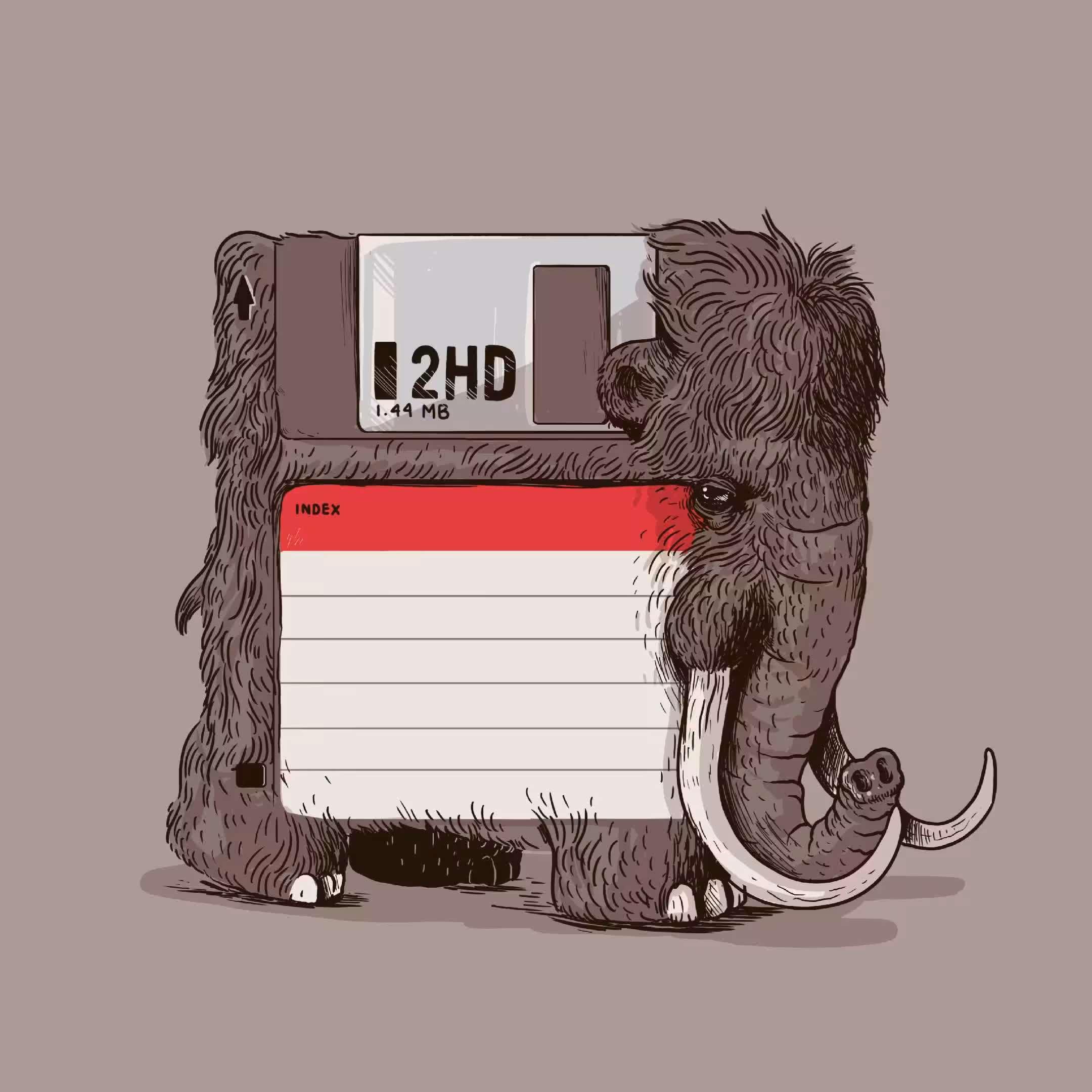 Floppy Disk