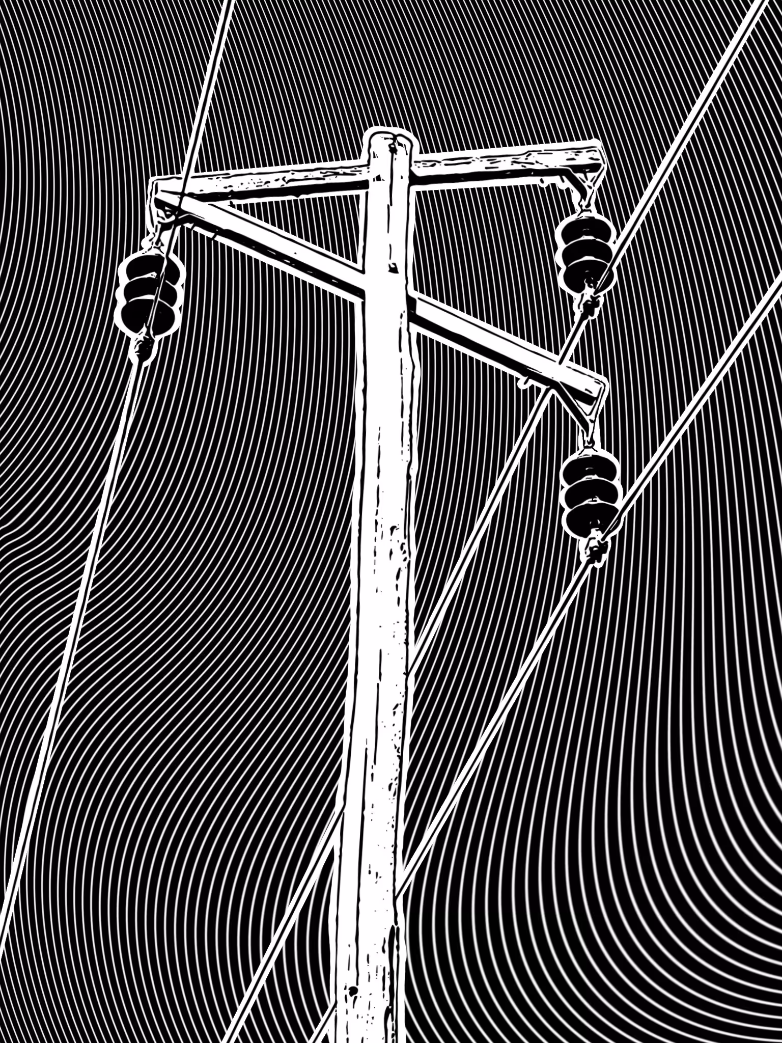 Cables V20