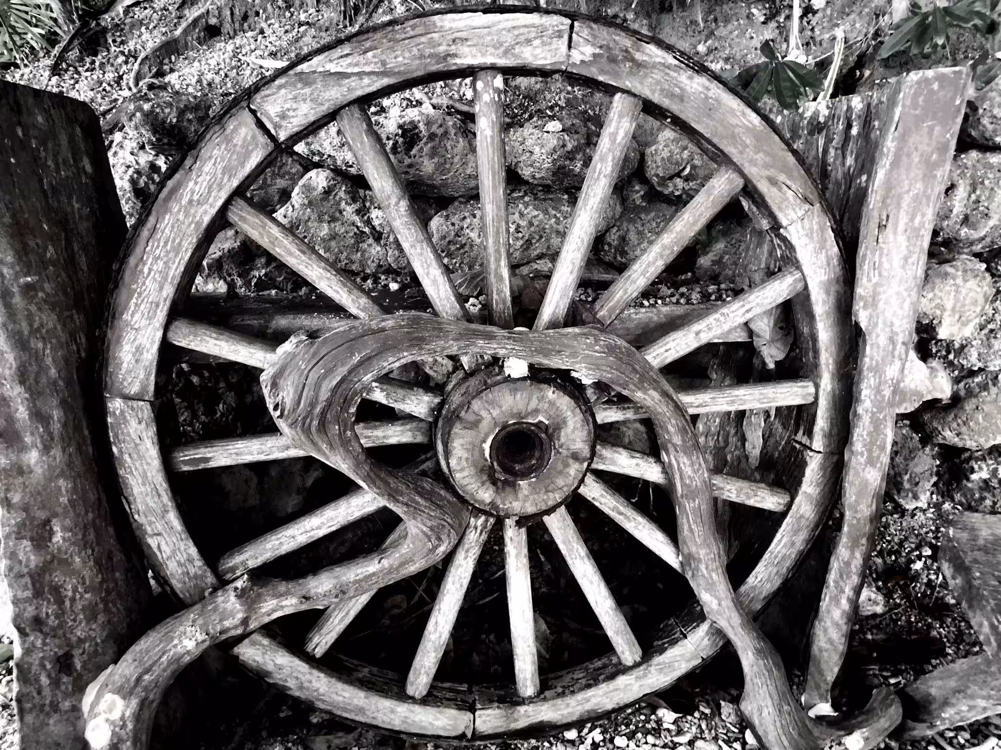 " Wheel Of Nothing "