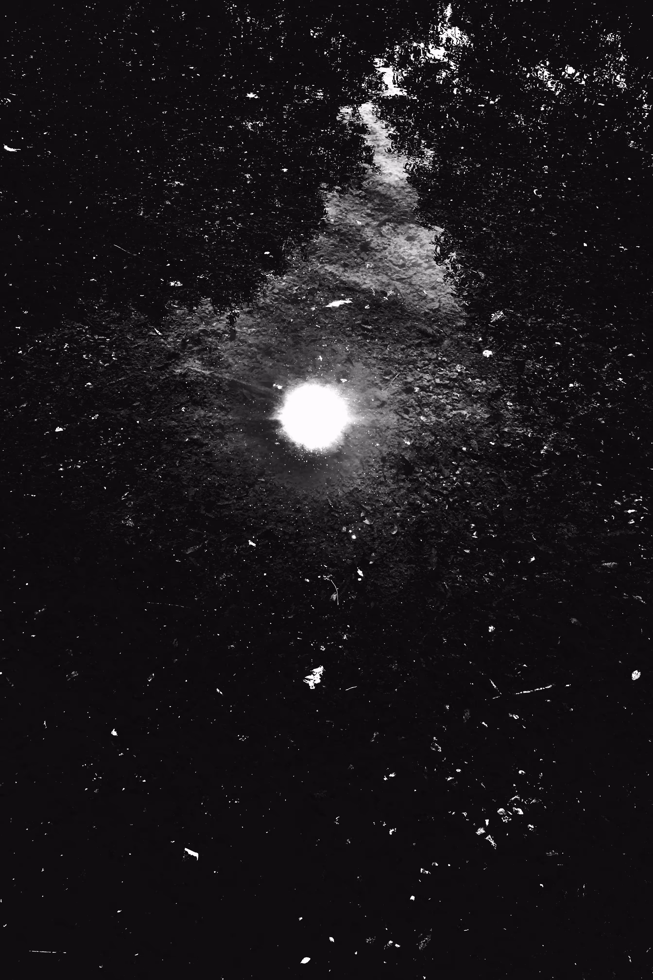 Birth