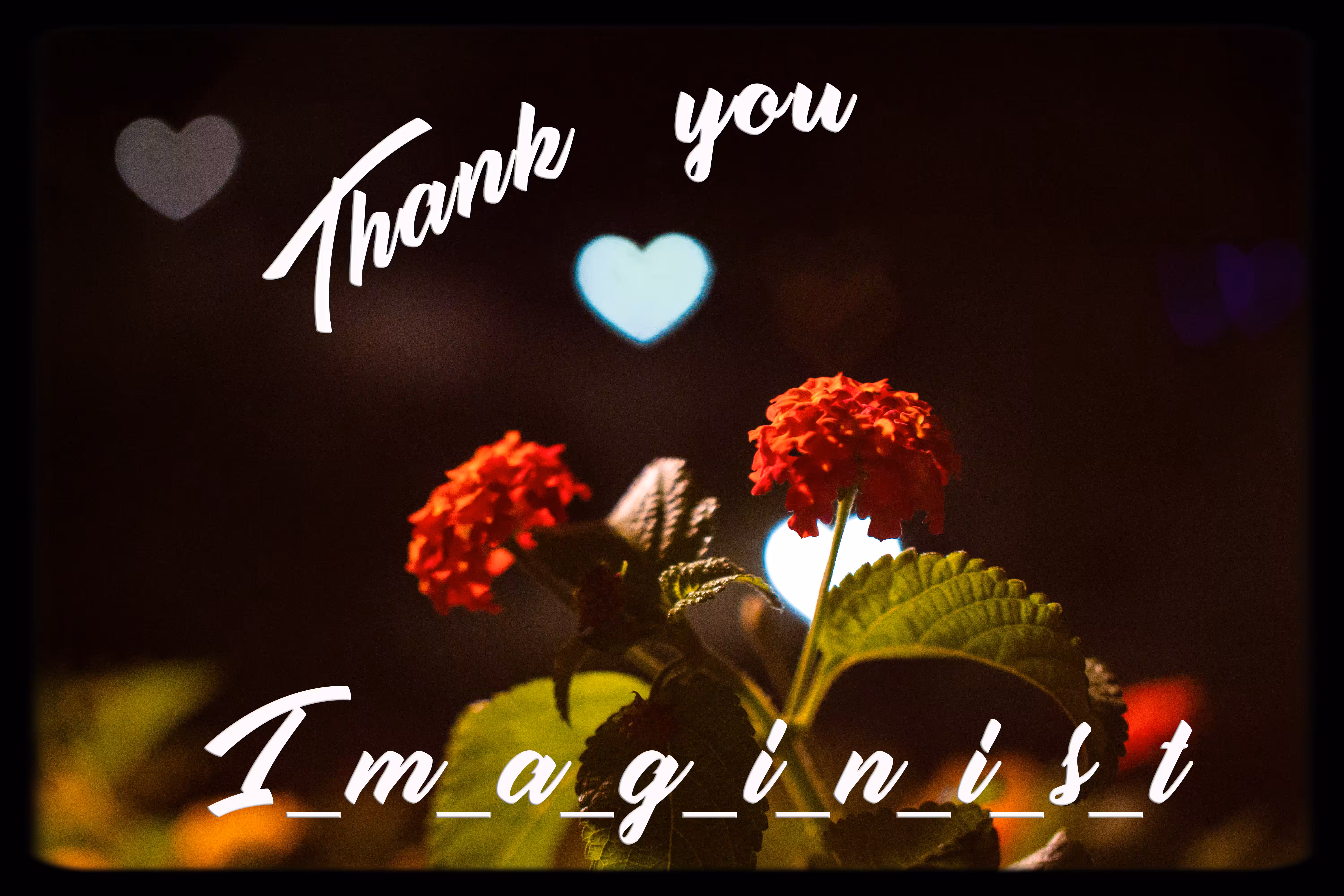 Thank You I_m_a_g_i_n_i_s_t