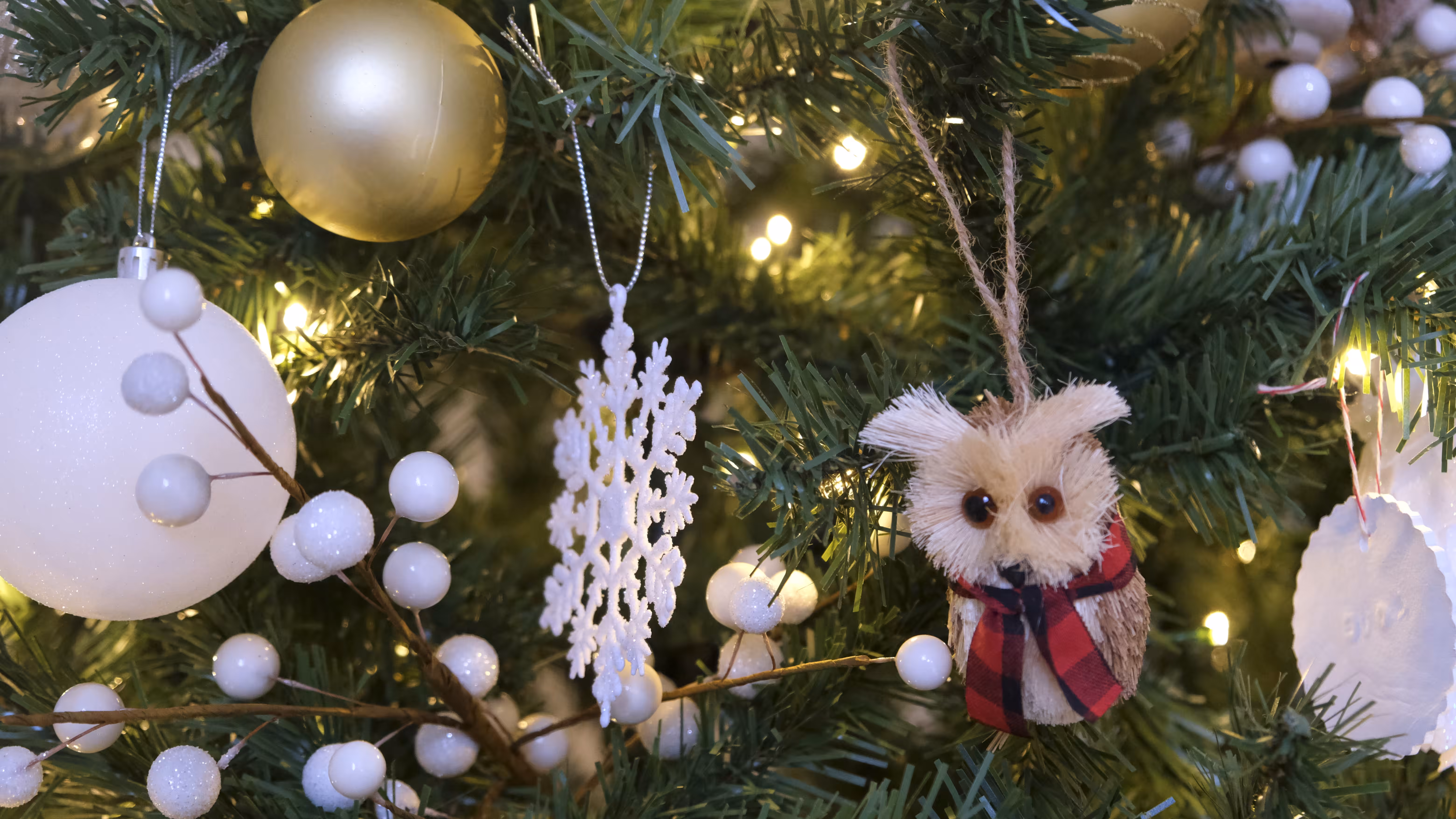 merry owl