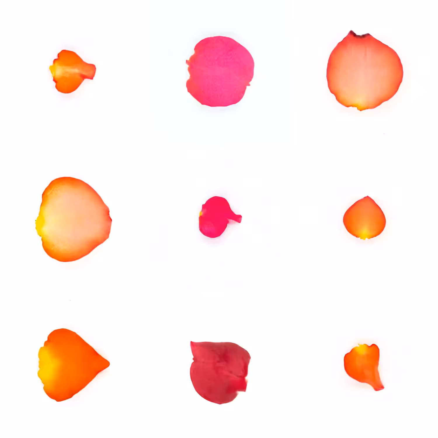 Infinite Petals 3x3#20205
