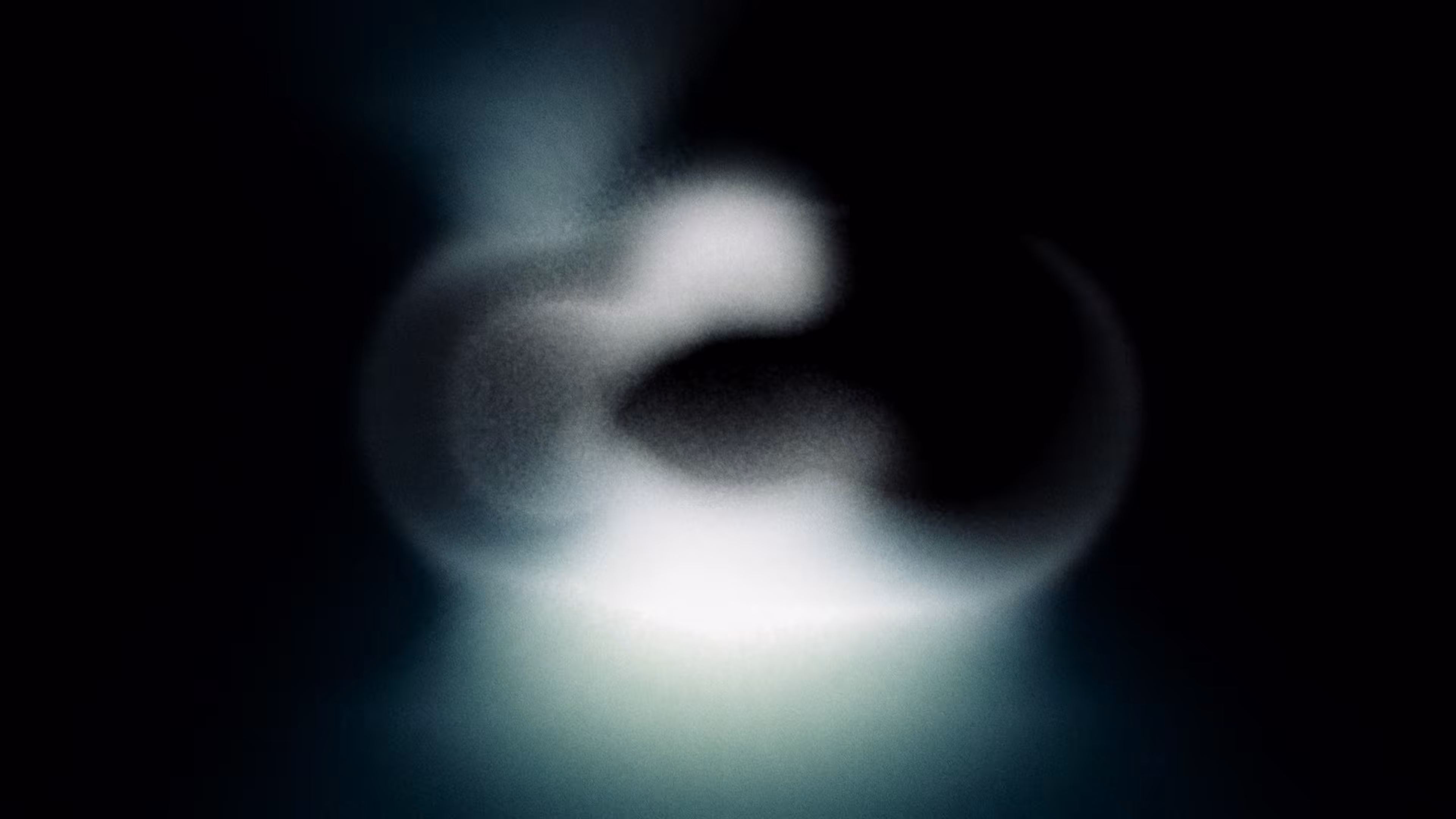 Epiphyte 10