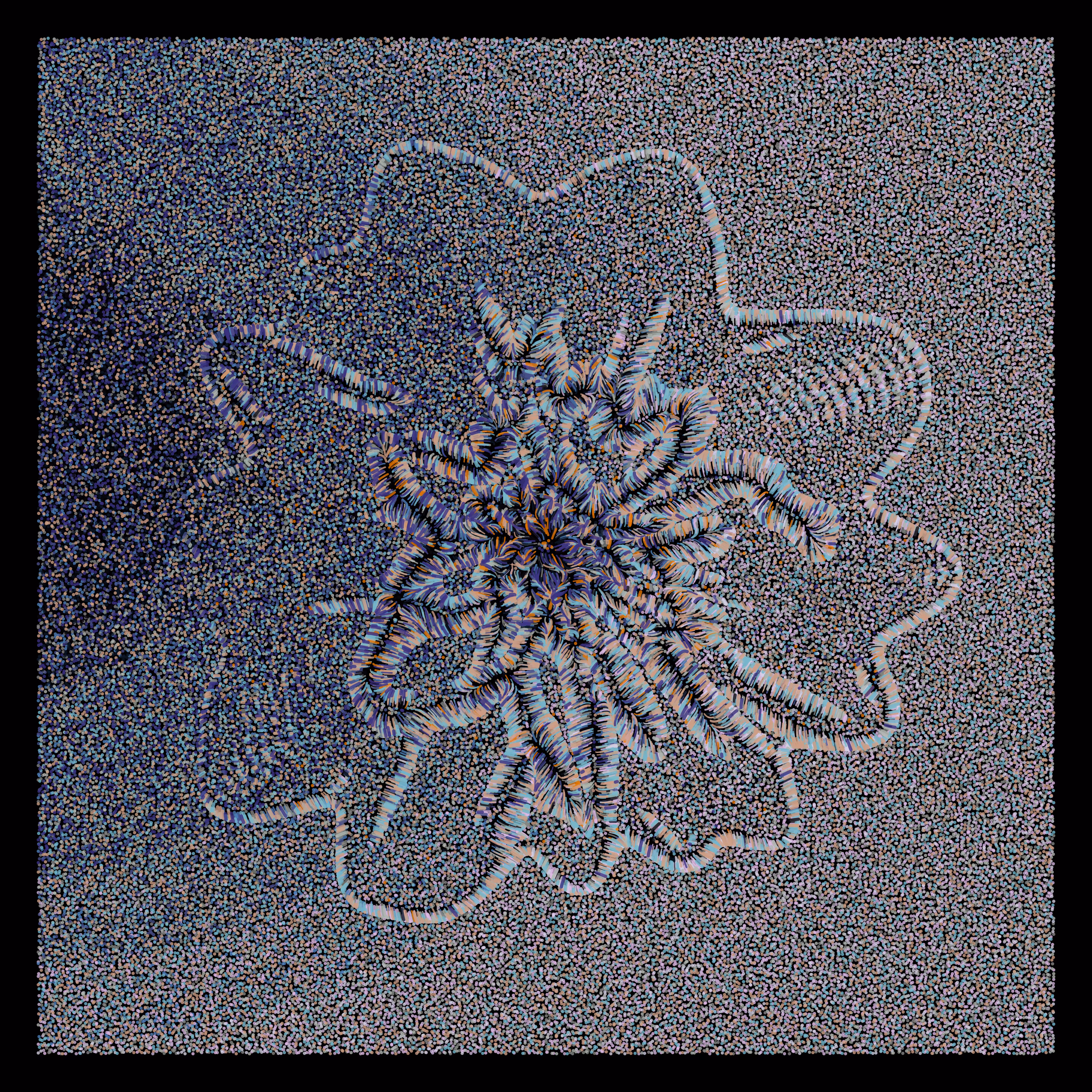 Flower Portrait #12
