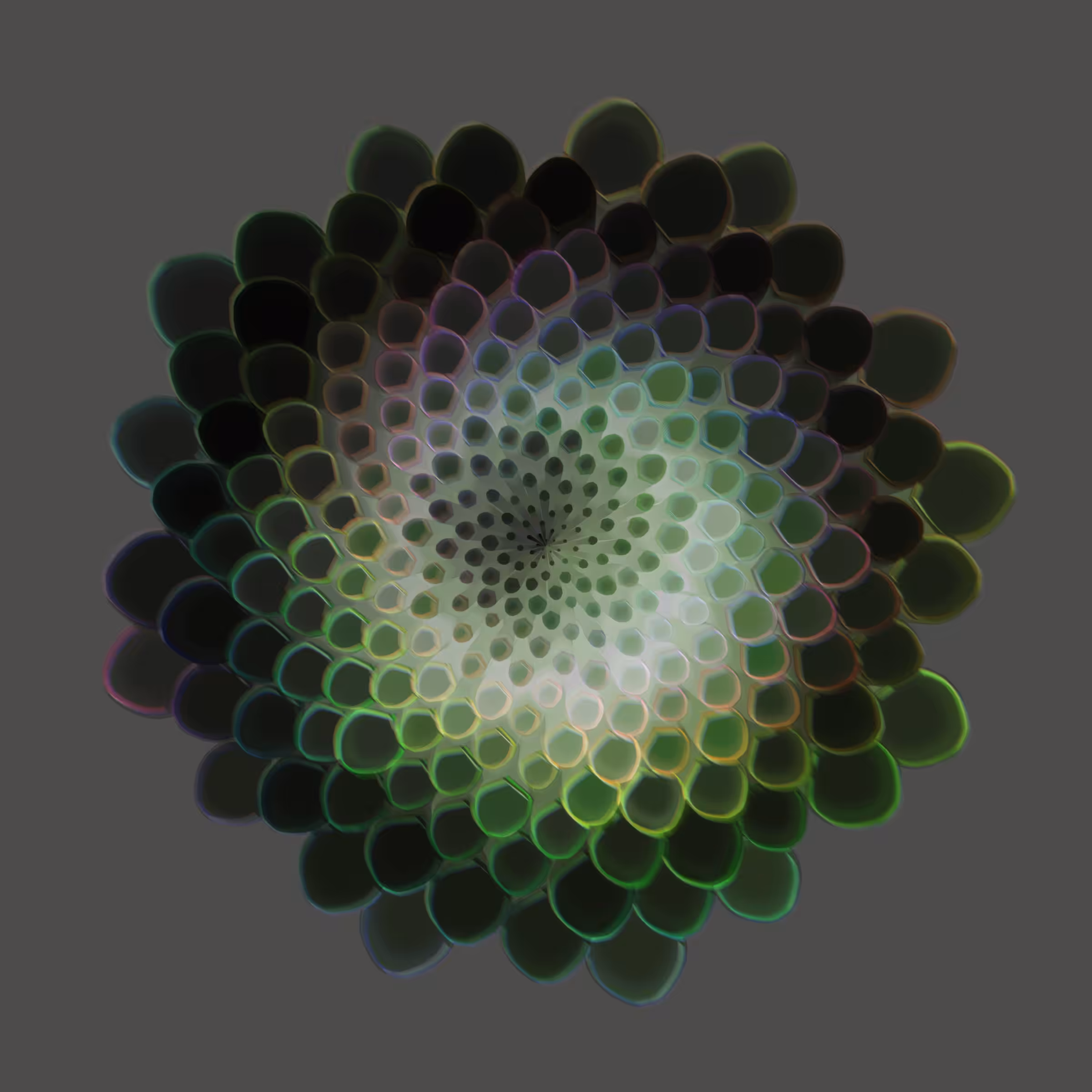 Fractal Bloom #307