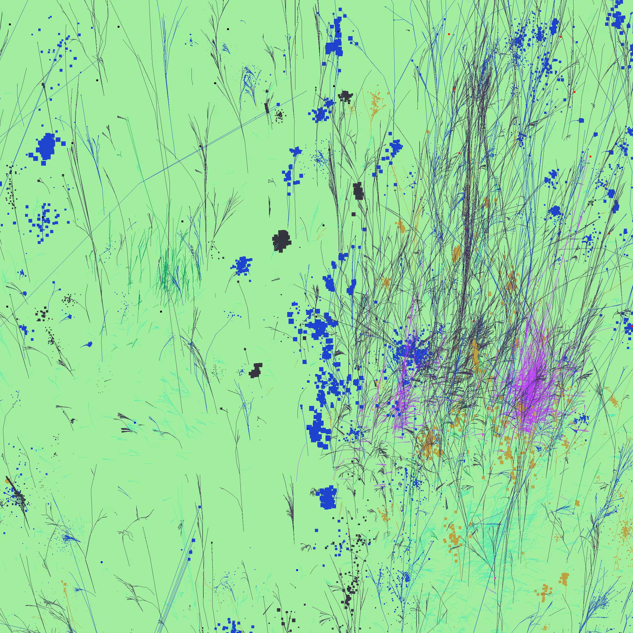 Infinite Garden: 13645 Flowers