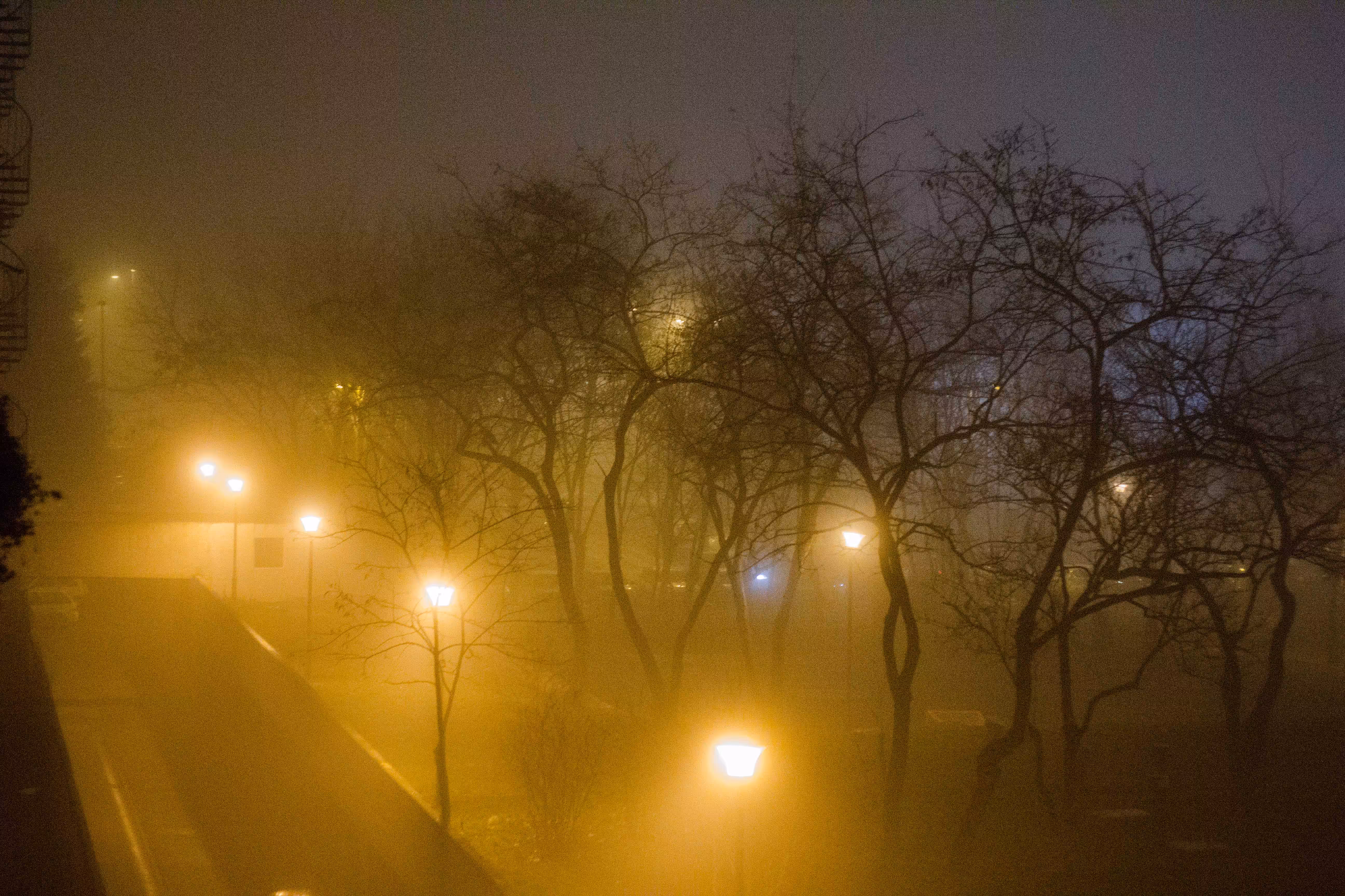 fog in nbgd