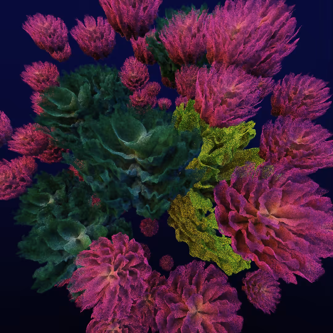 rosarium #18