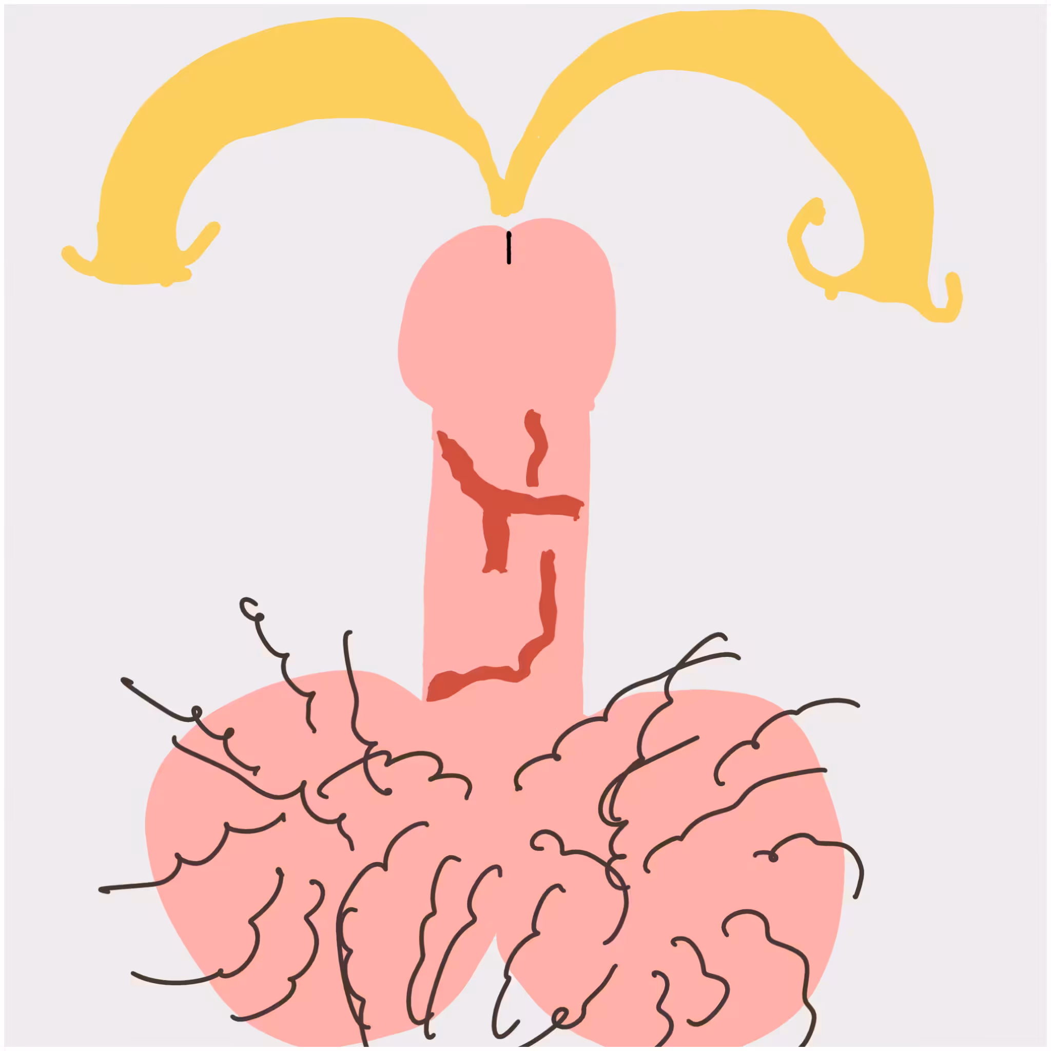 Dickgenerative Art #45
