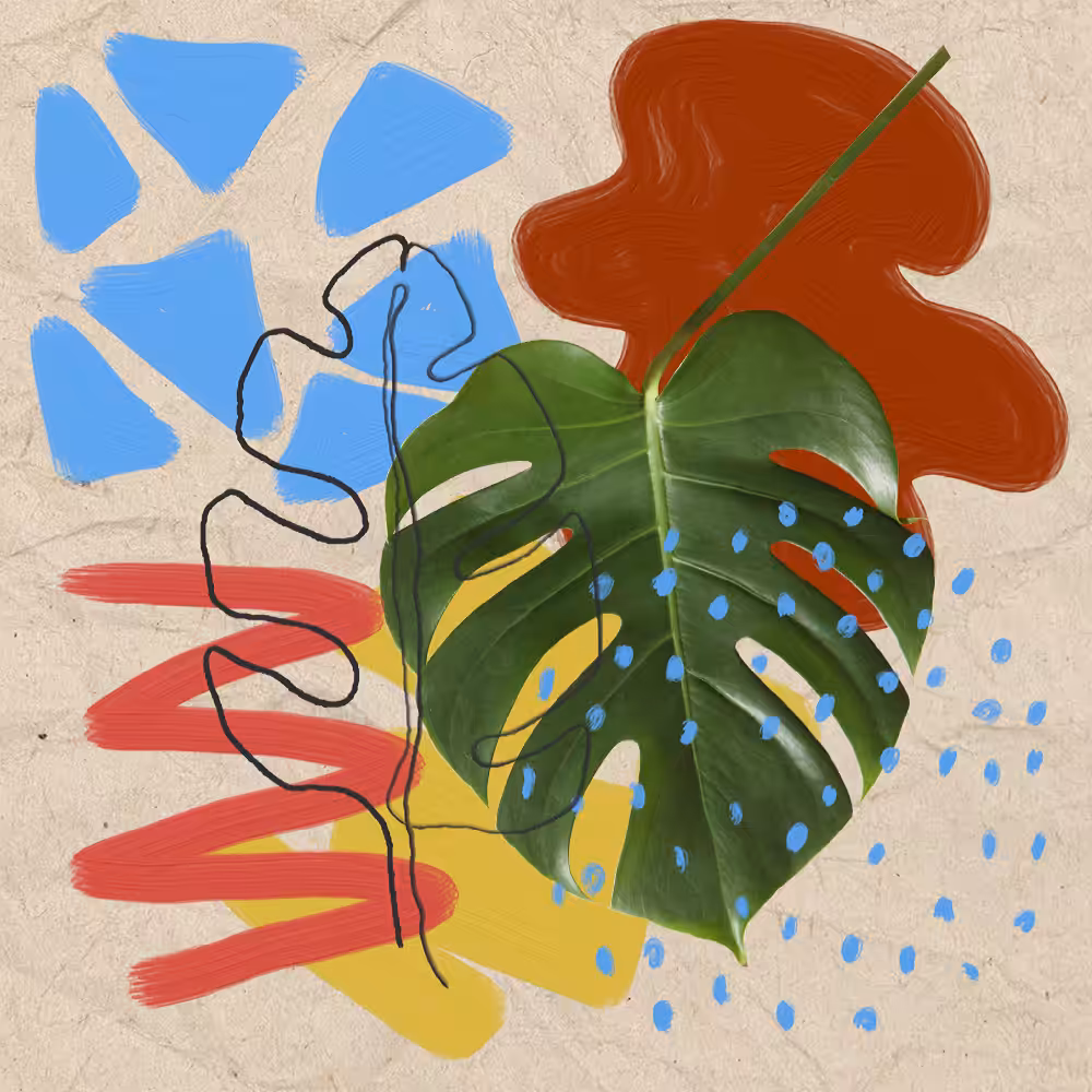 Tropical State of Mind
