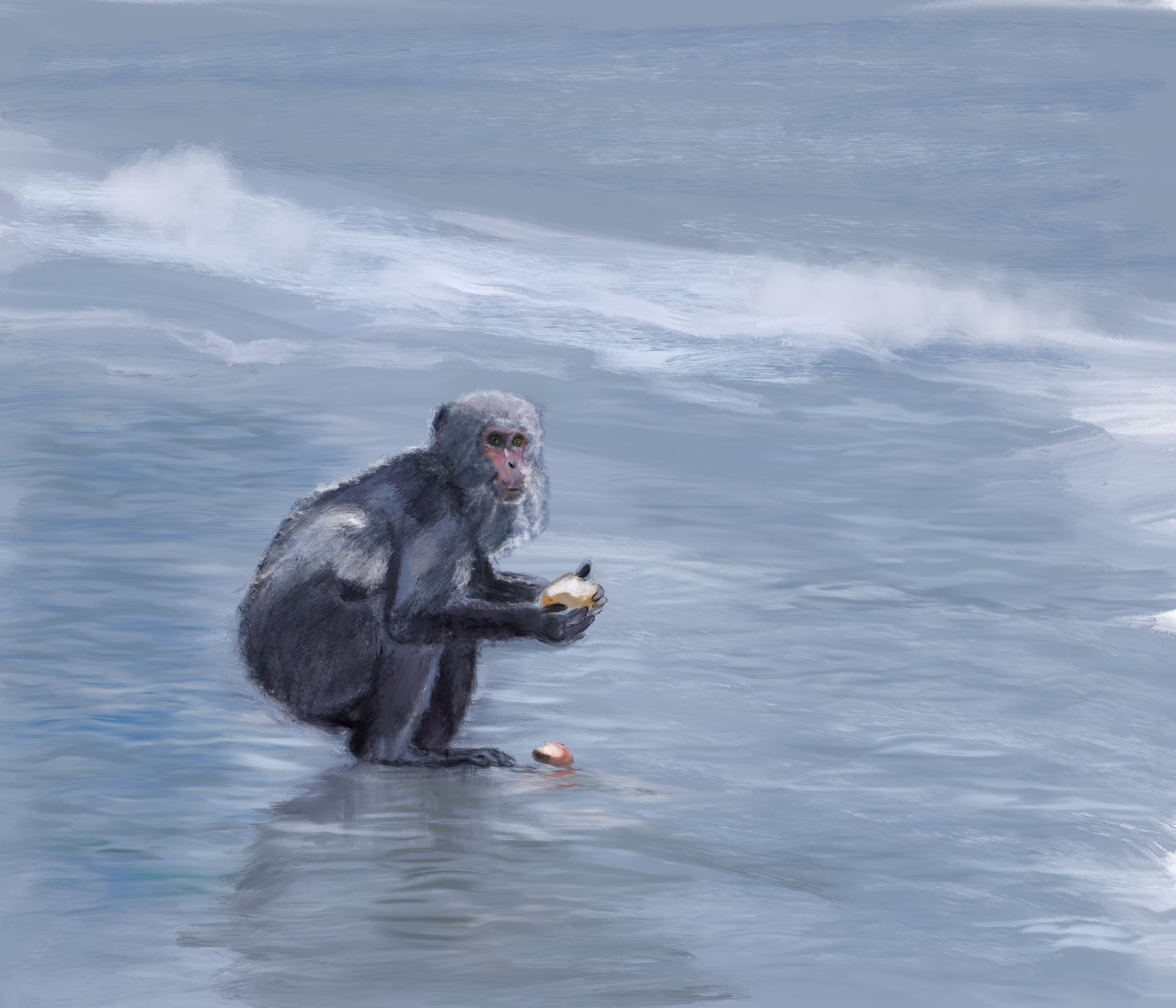 Monkey on the Beach