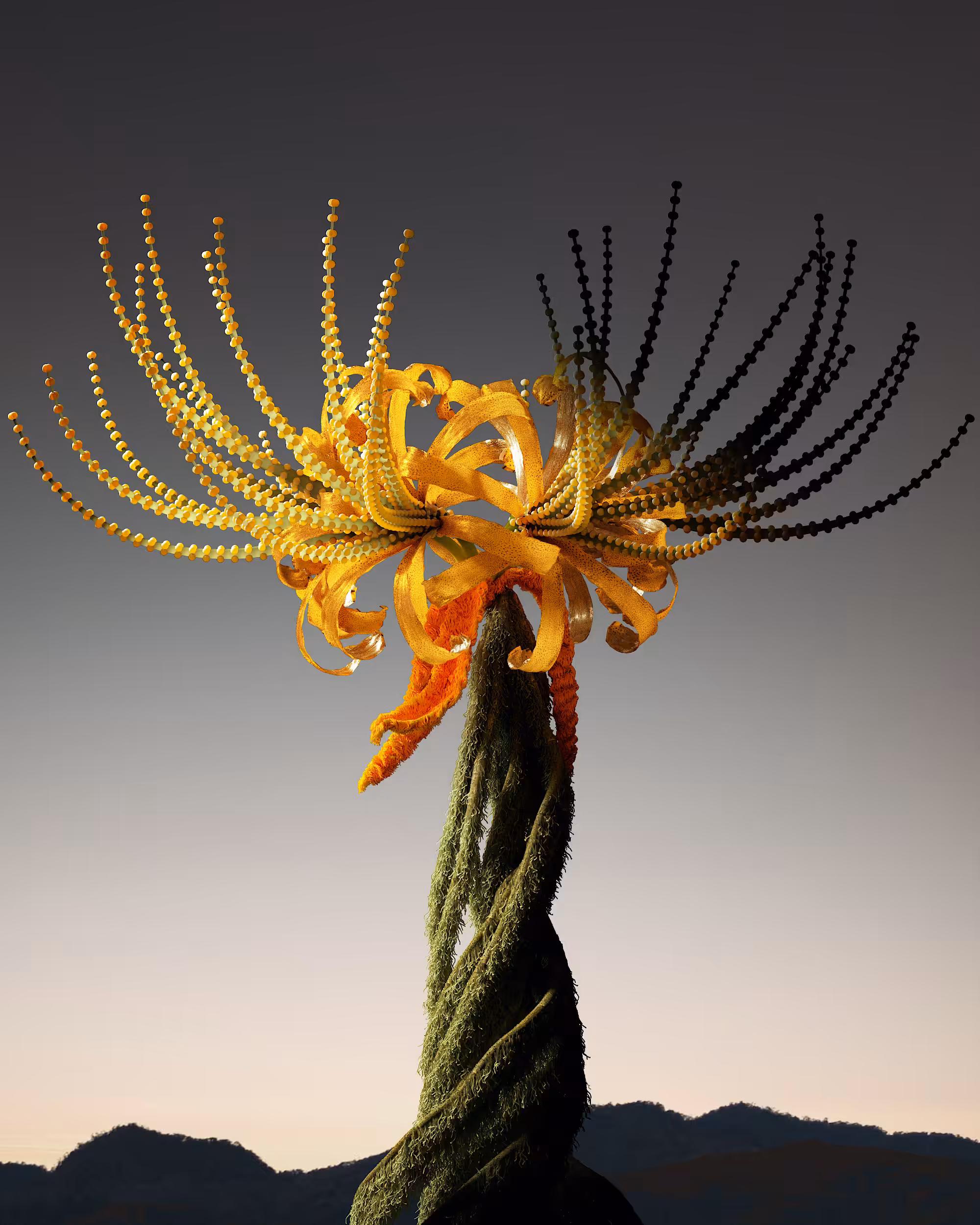 Punctatum Capillum