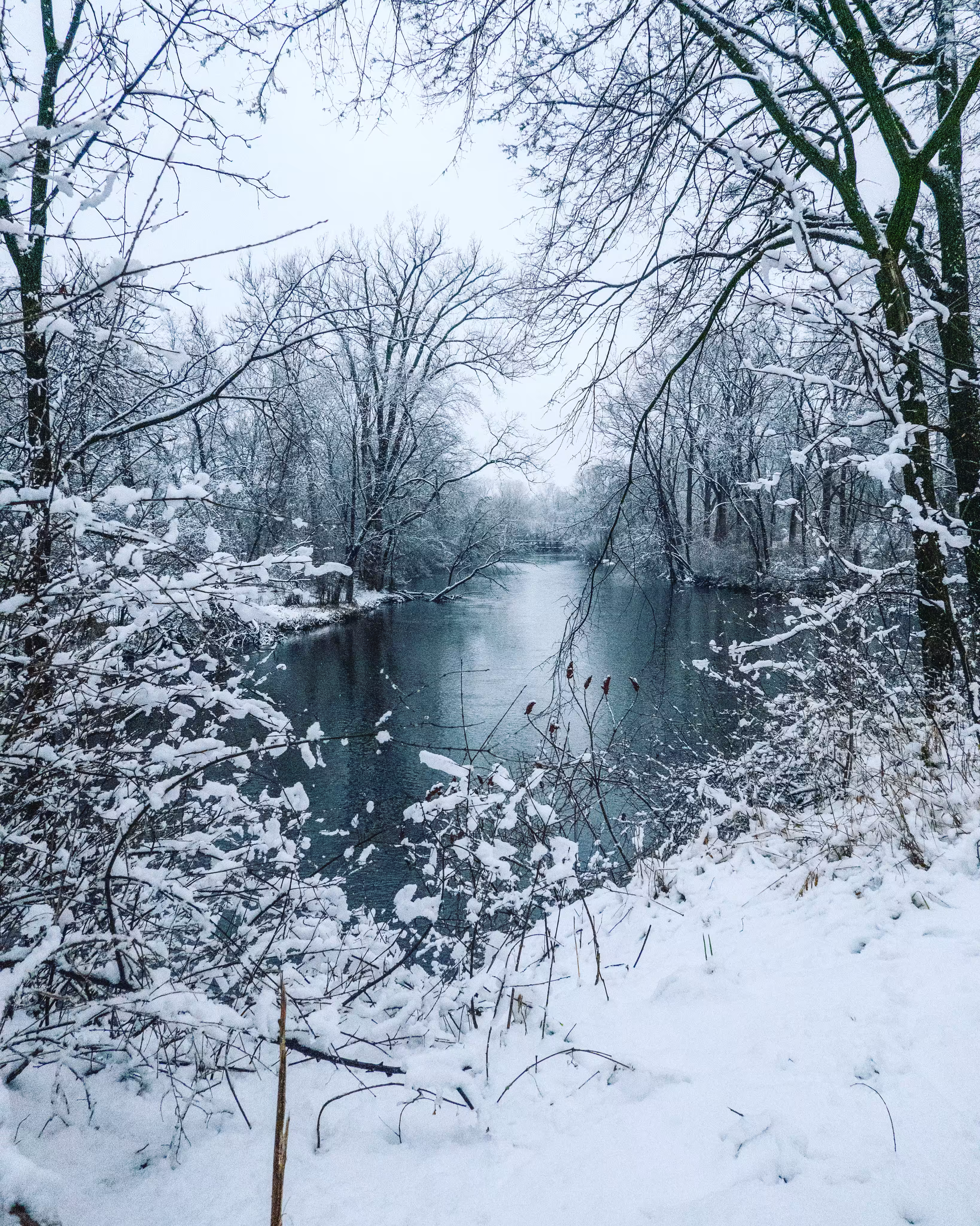 Winter’s Majesty