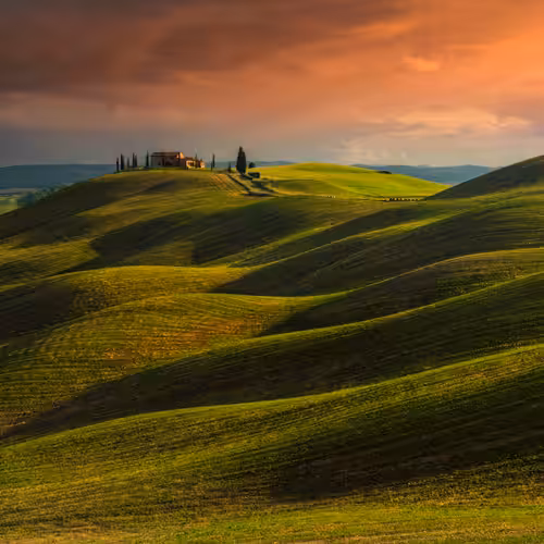 Tuscany Land #1