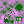 black mold