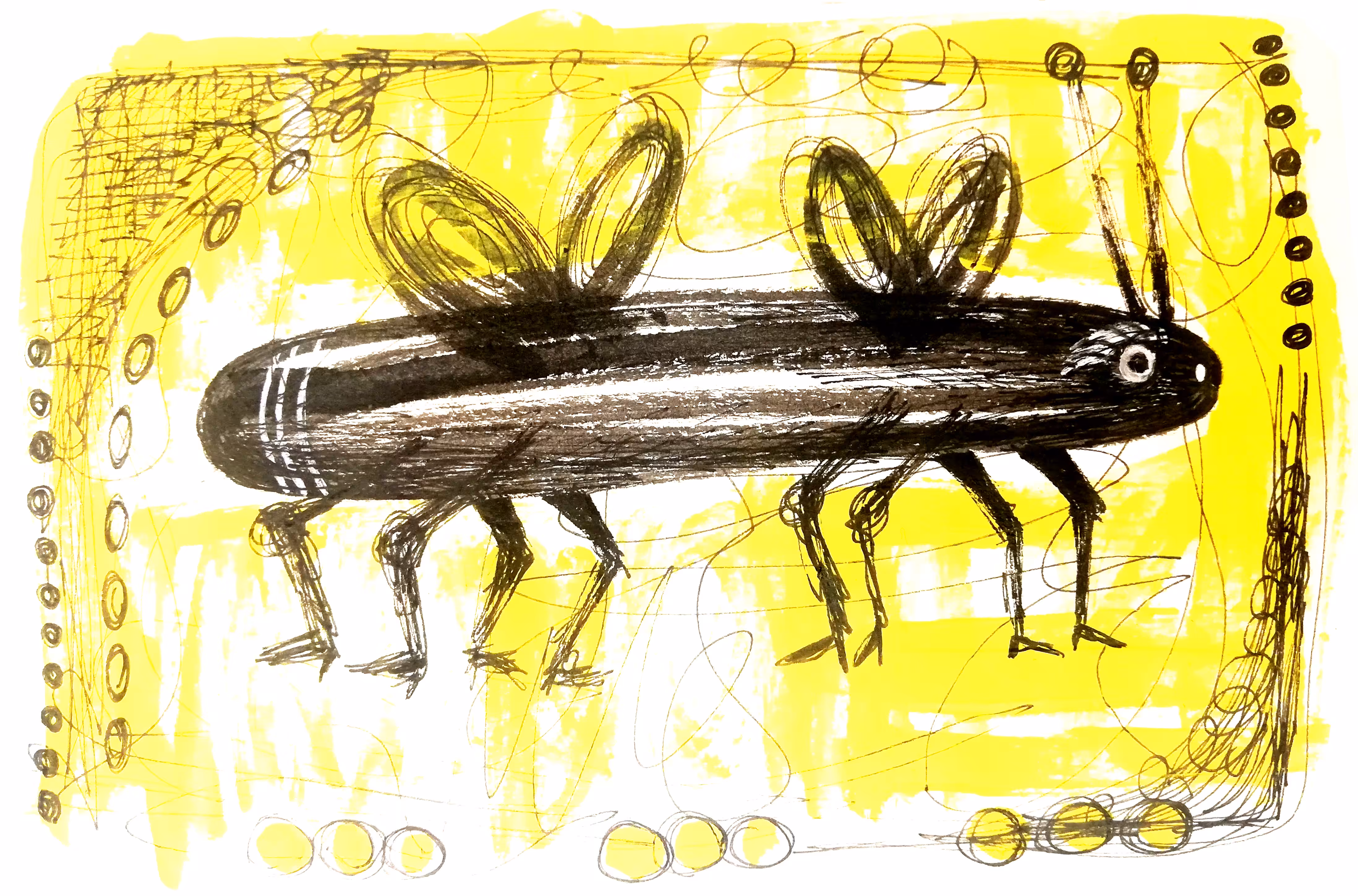 Mr. Mosquito 